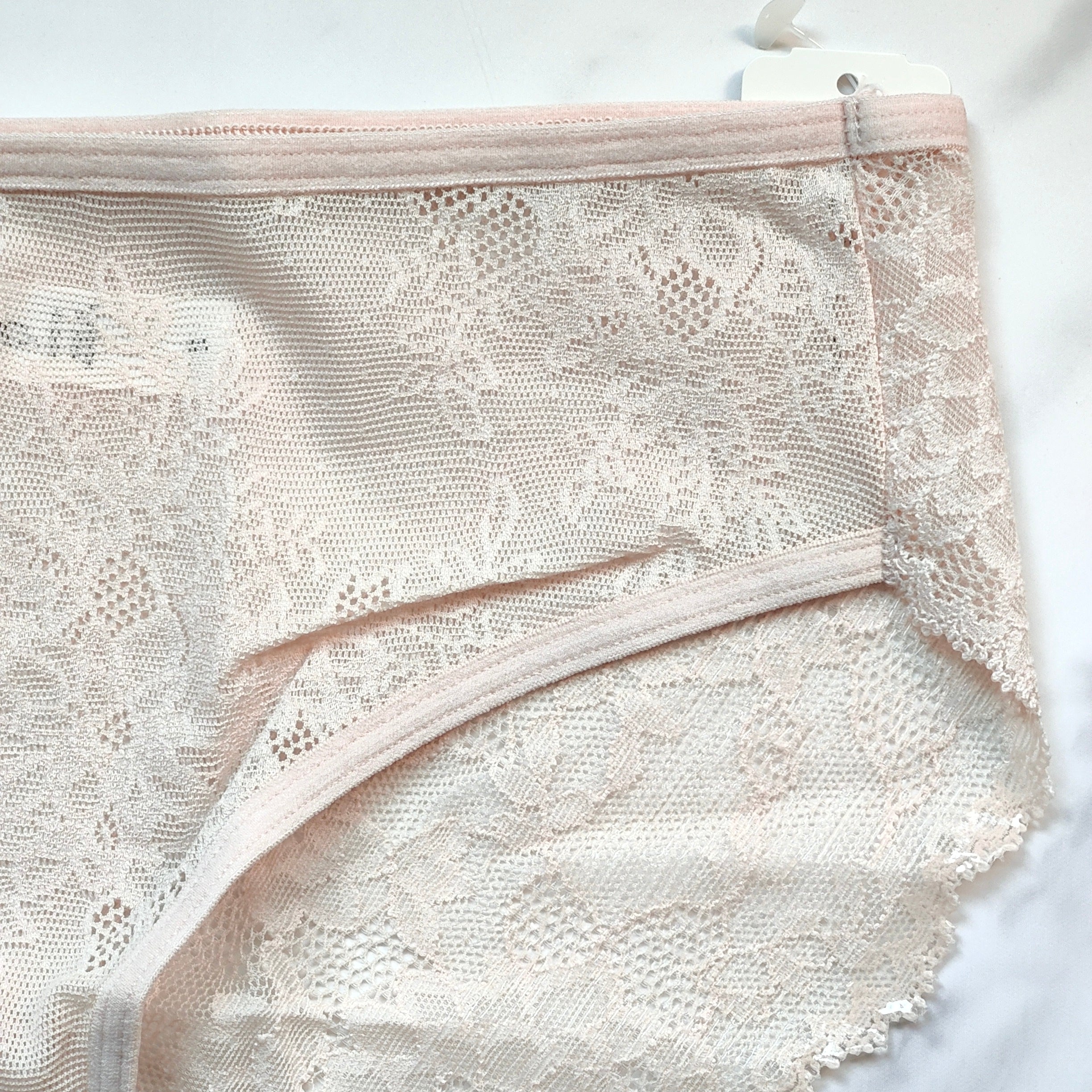 Vanishing Edge All-Over Lace Hipster Panty