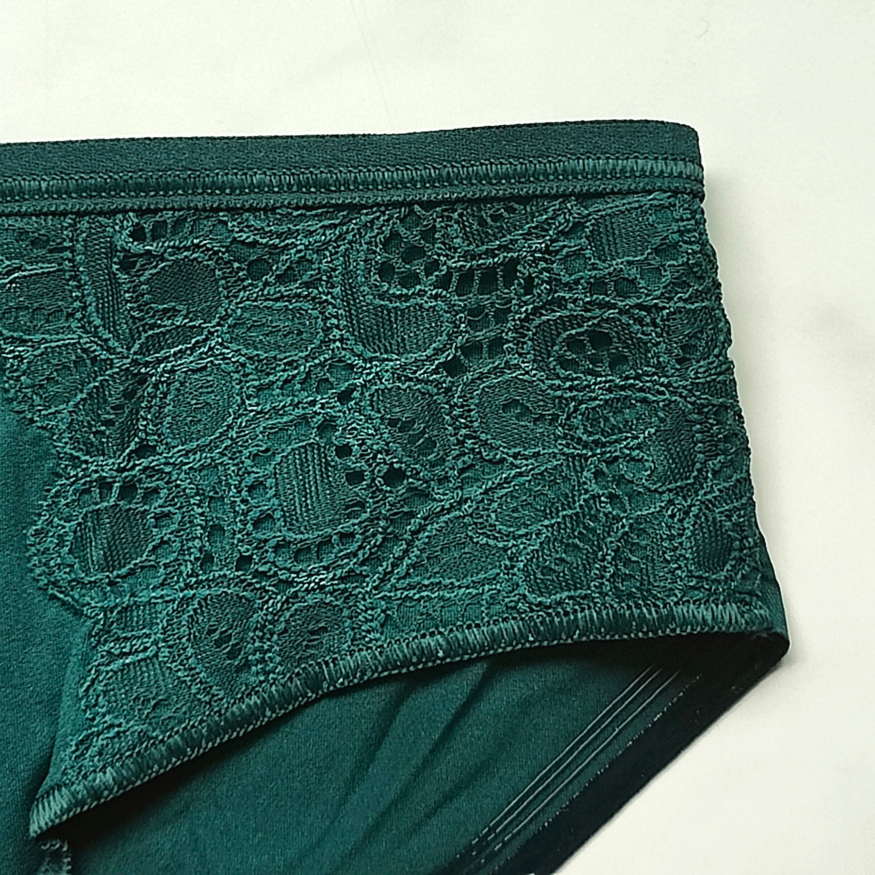 Vanishing Edge Microfiber with Lace Cheeky Hipster Panty