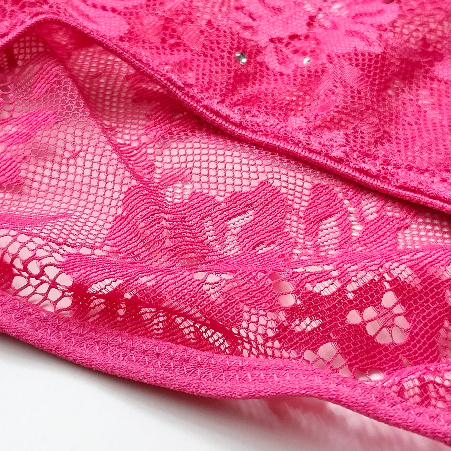 Embellished Lace Bikini Panty