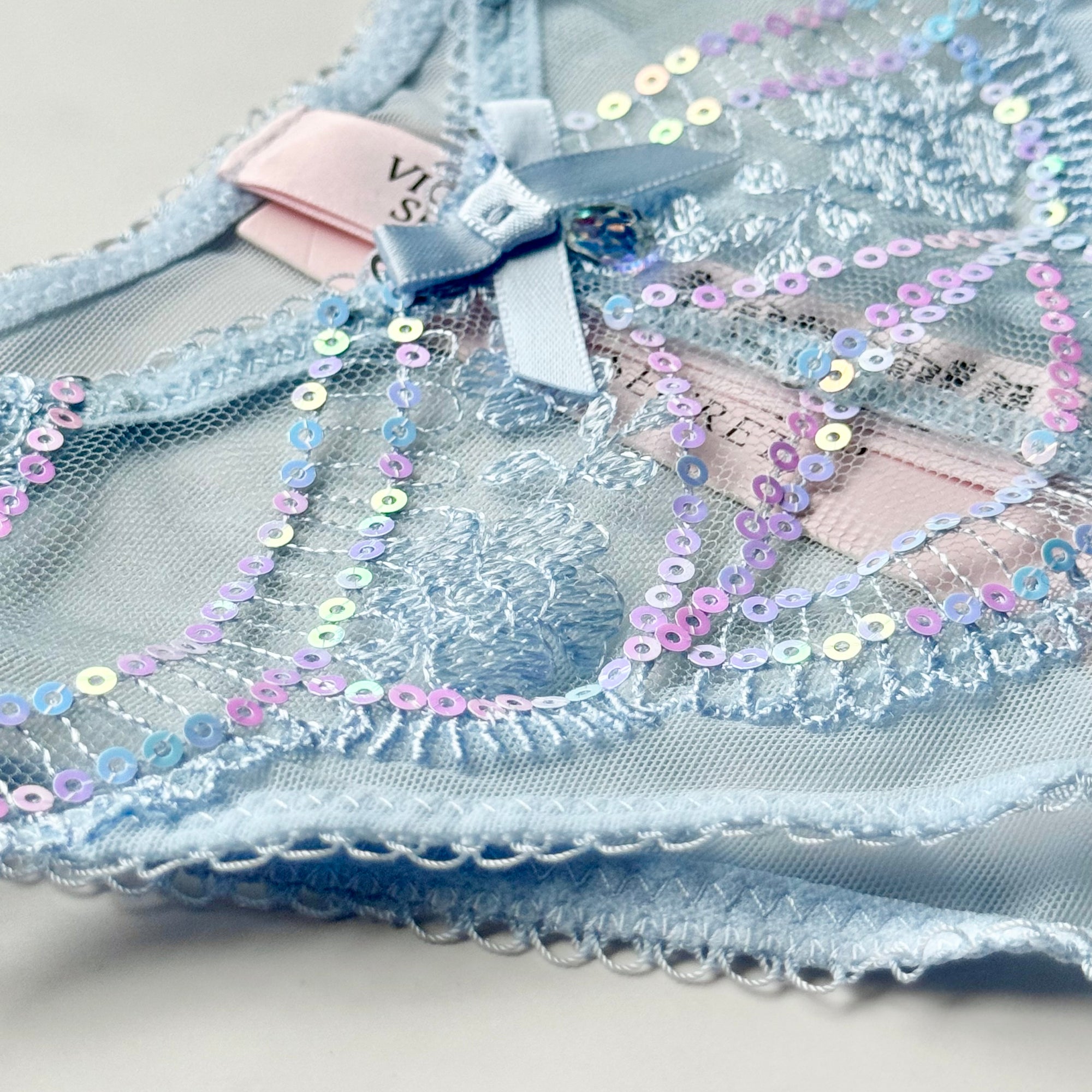 Dream Angels Iridescent Embroidery Brazilian Panty