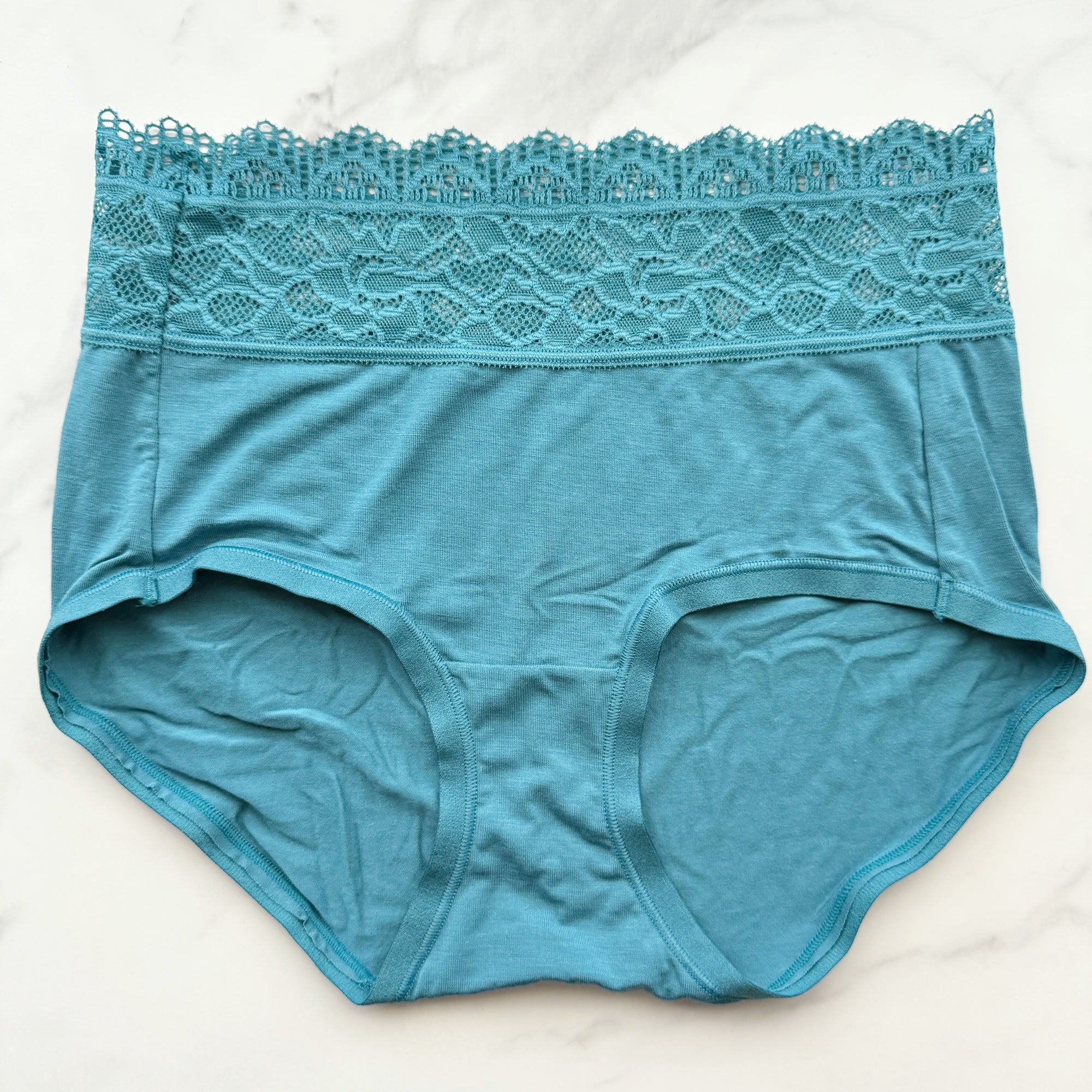 Embraceable Super Soft Enchanting Lace Modern Brief Panty