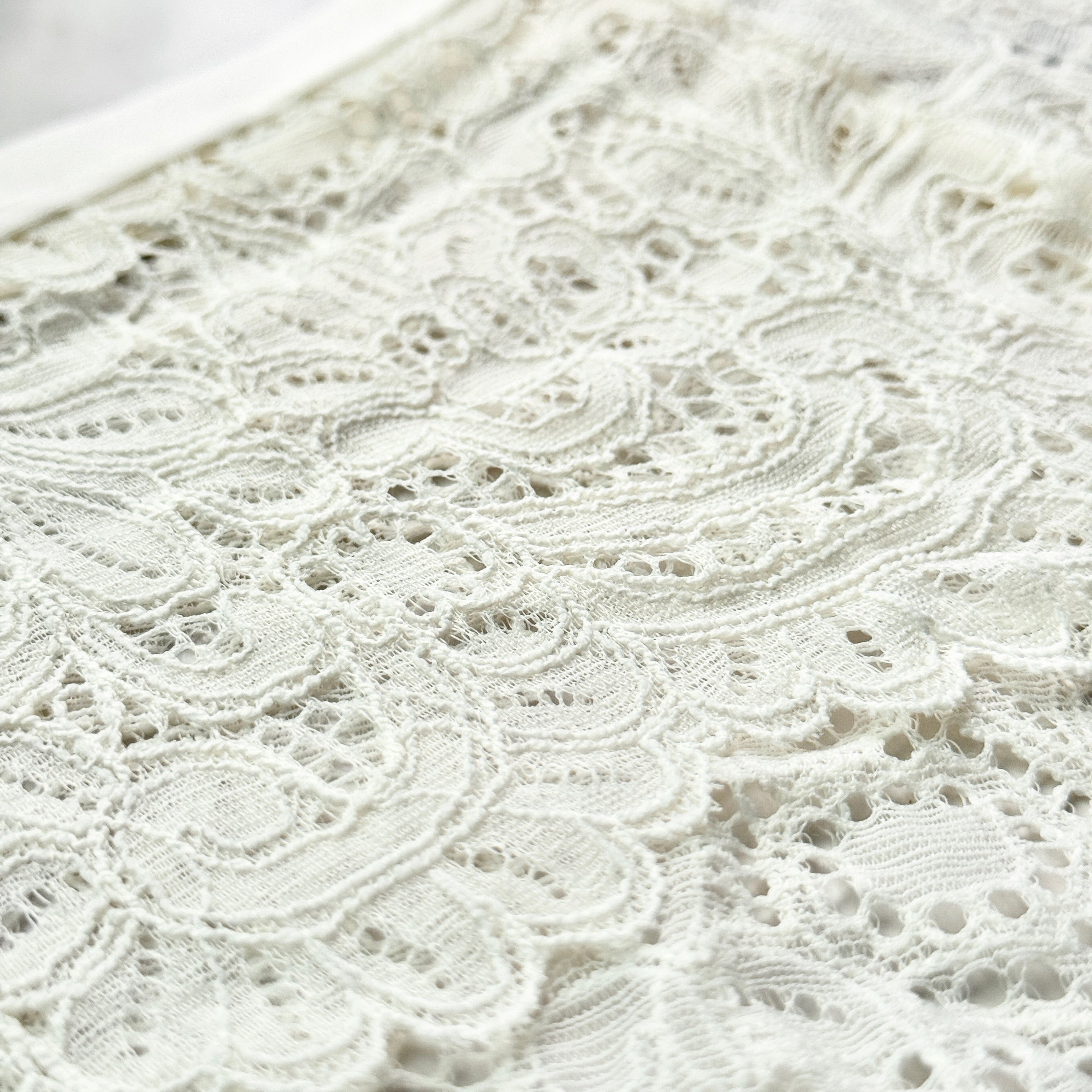 Hipster With Lace Panty