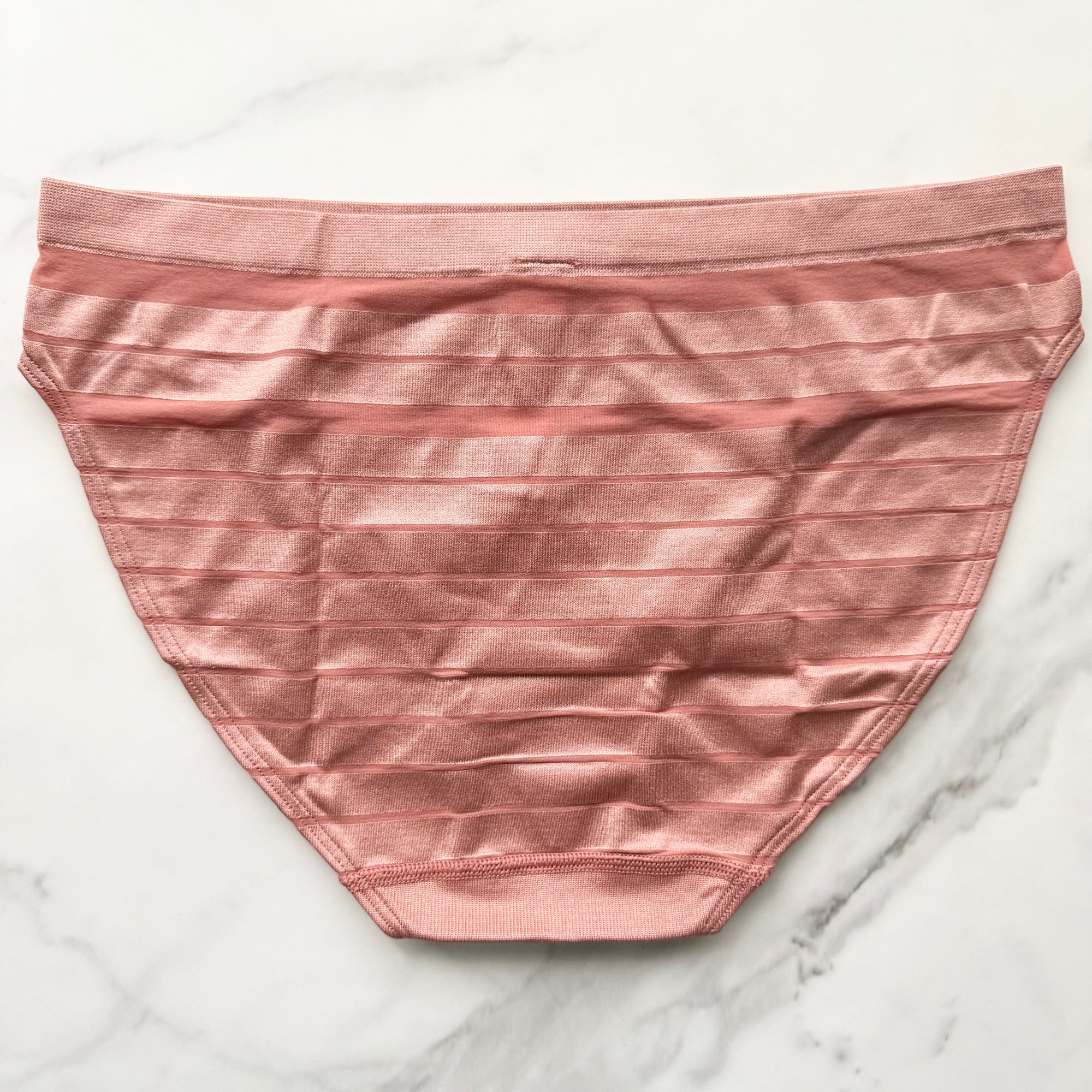 Seamless Sheer Stripe Bikini Panty