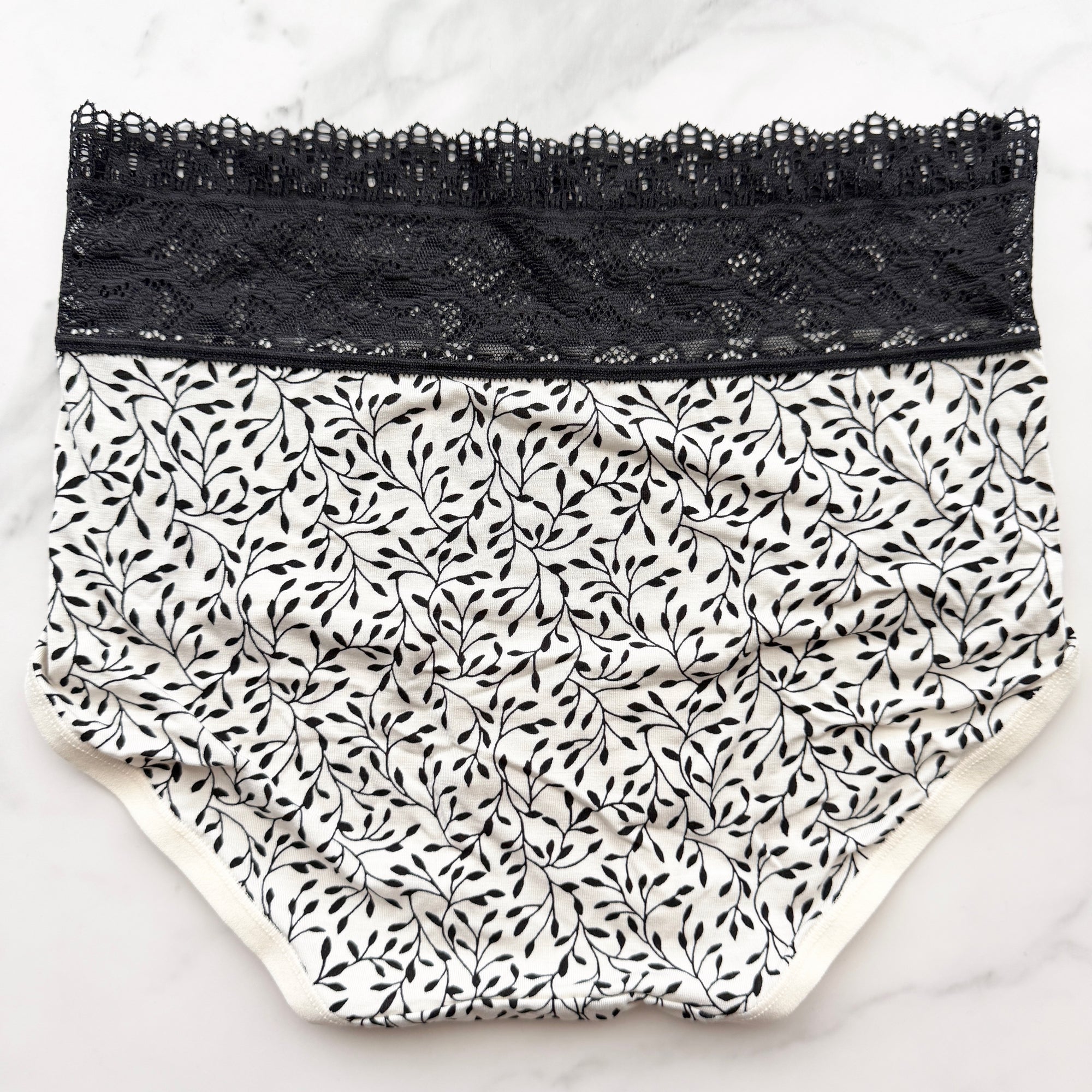 Embraceable Super Soft Enchanting Lace Modern Brief Panty