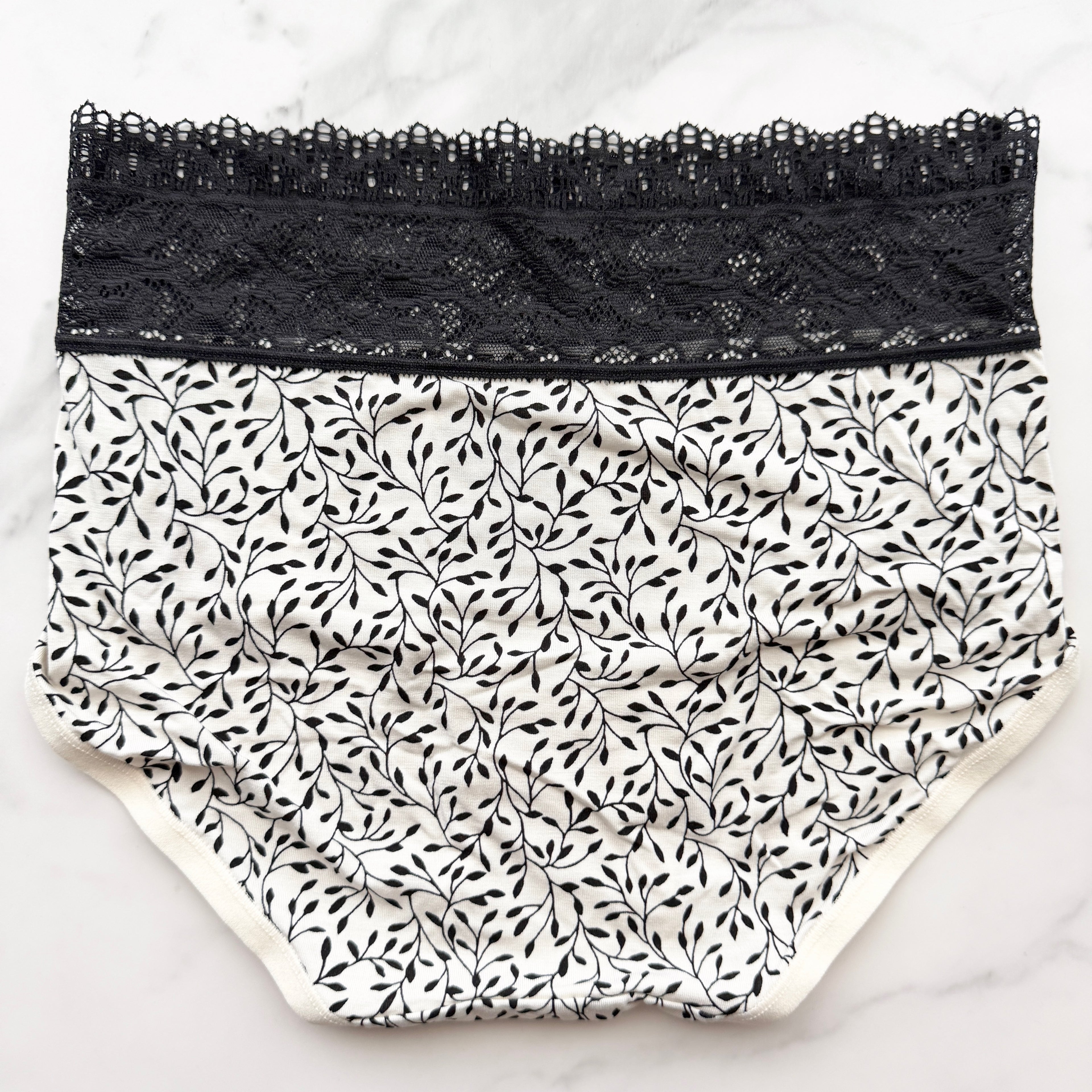 Embraceable Super Soft Enchanting Lace Modern Brief Panty