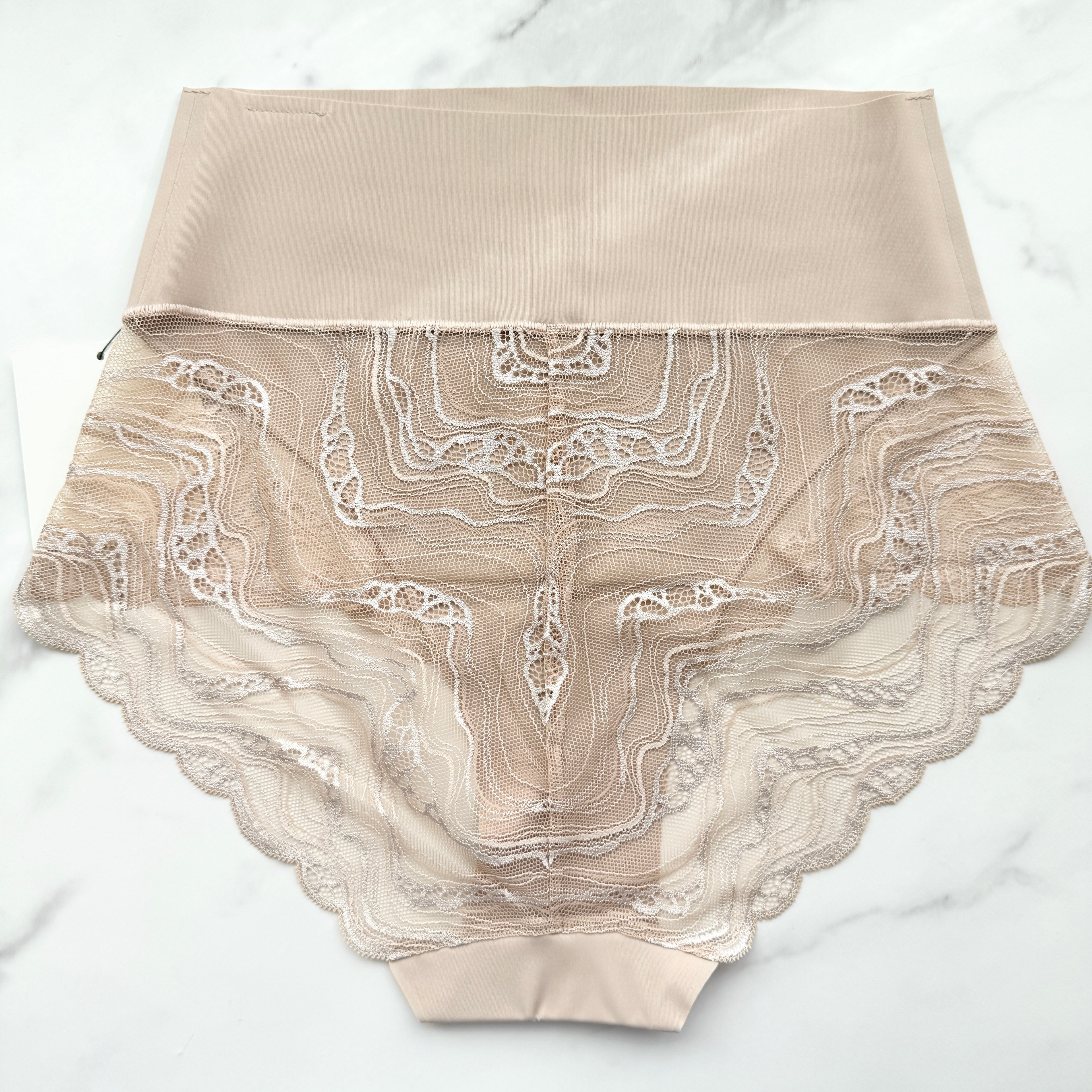 Sensual Stretch Lace Brief Panty