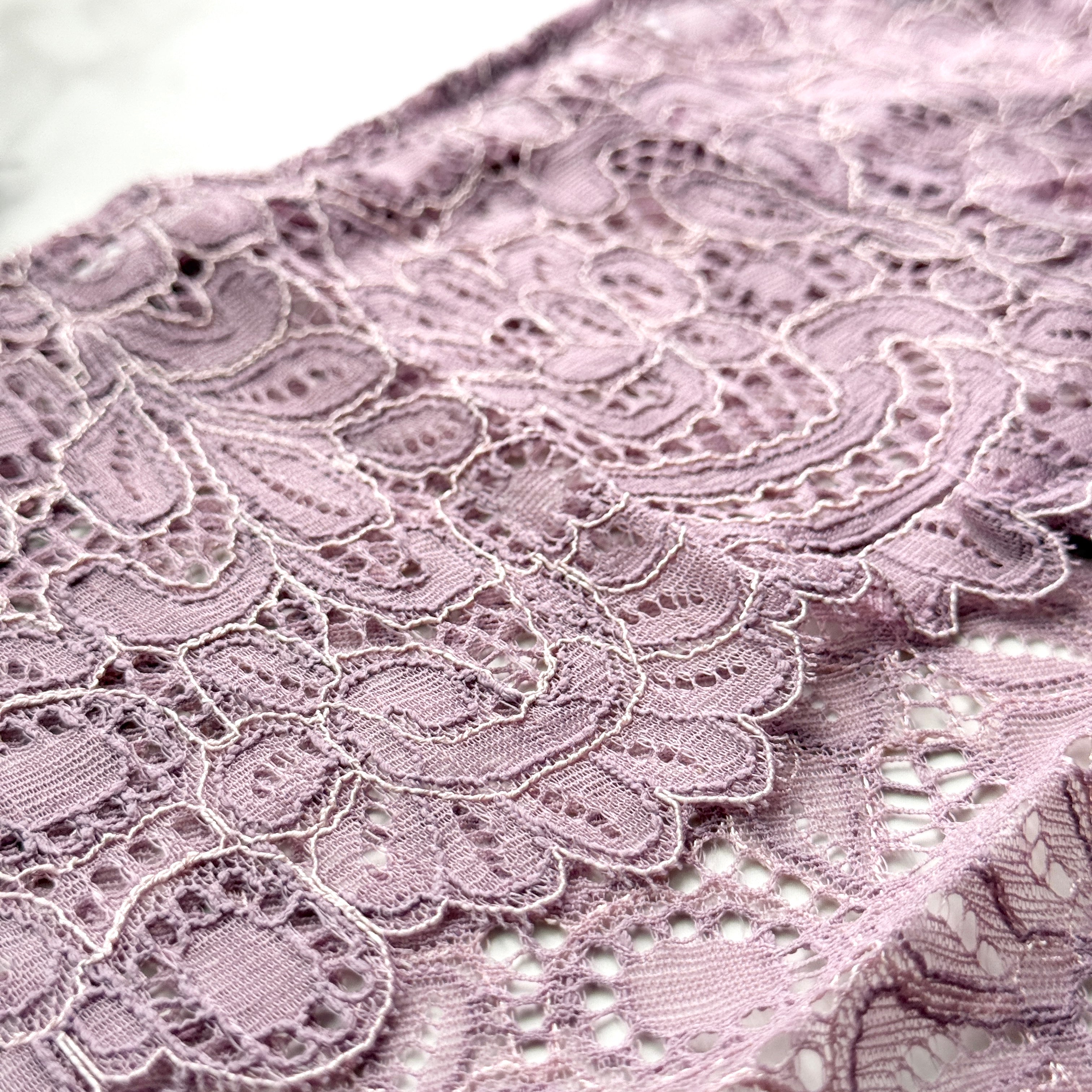 Corded Lace Cheeky Hipster Panty