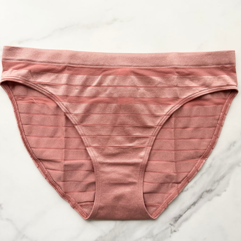 Seamless Sheer Stripe Bikini Panty