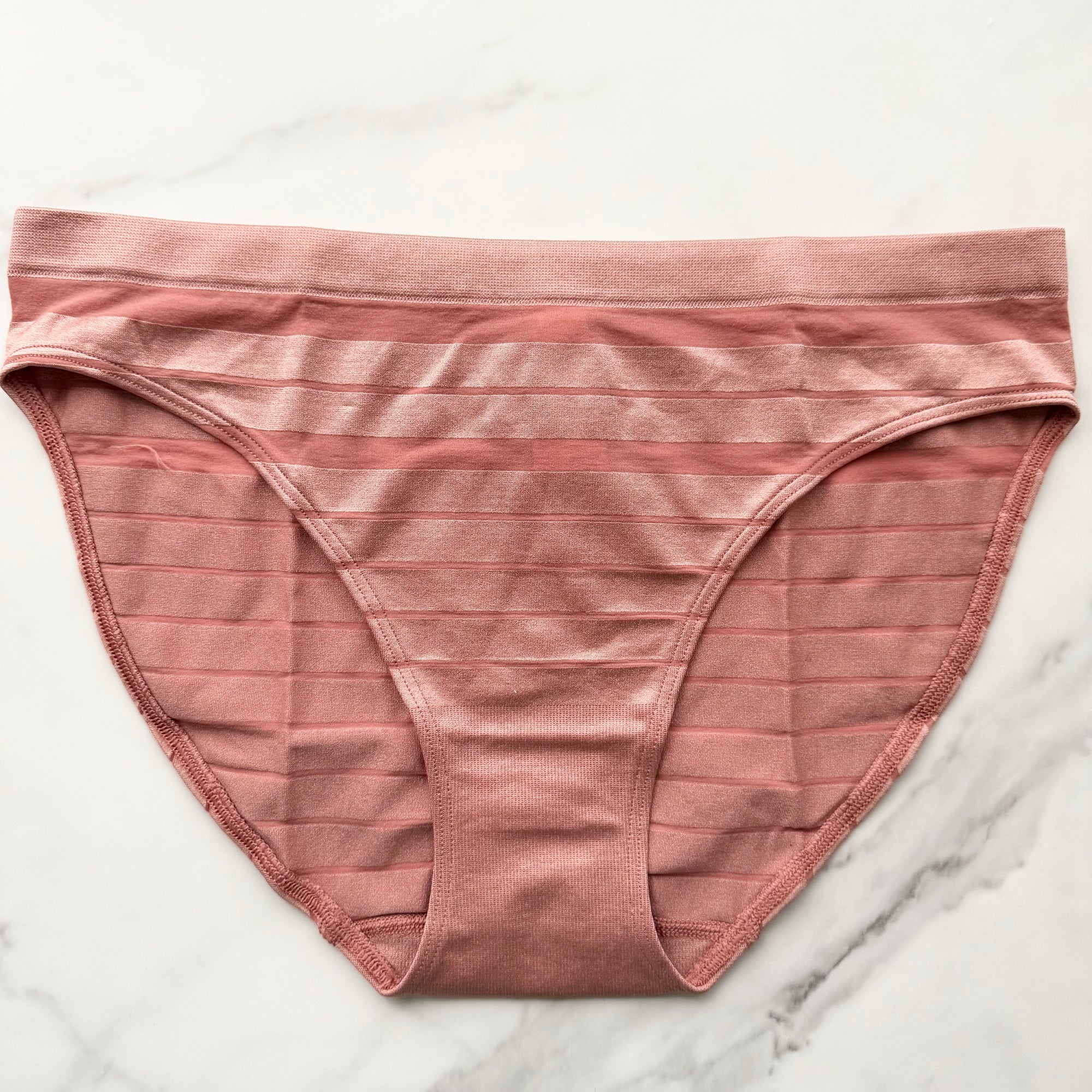 Seamless Sheer Stripe Bikini Panty