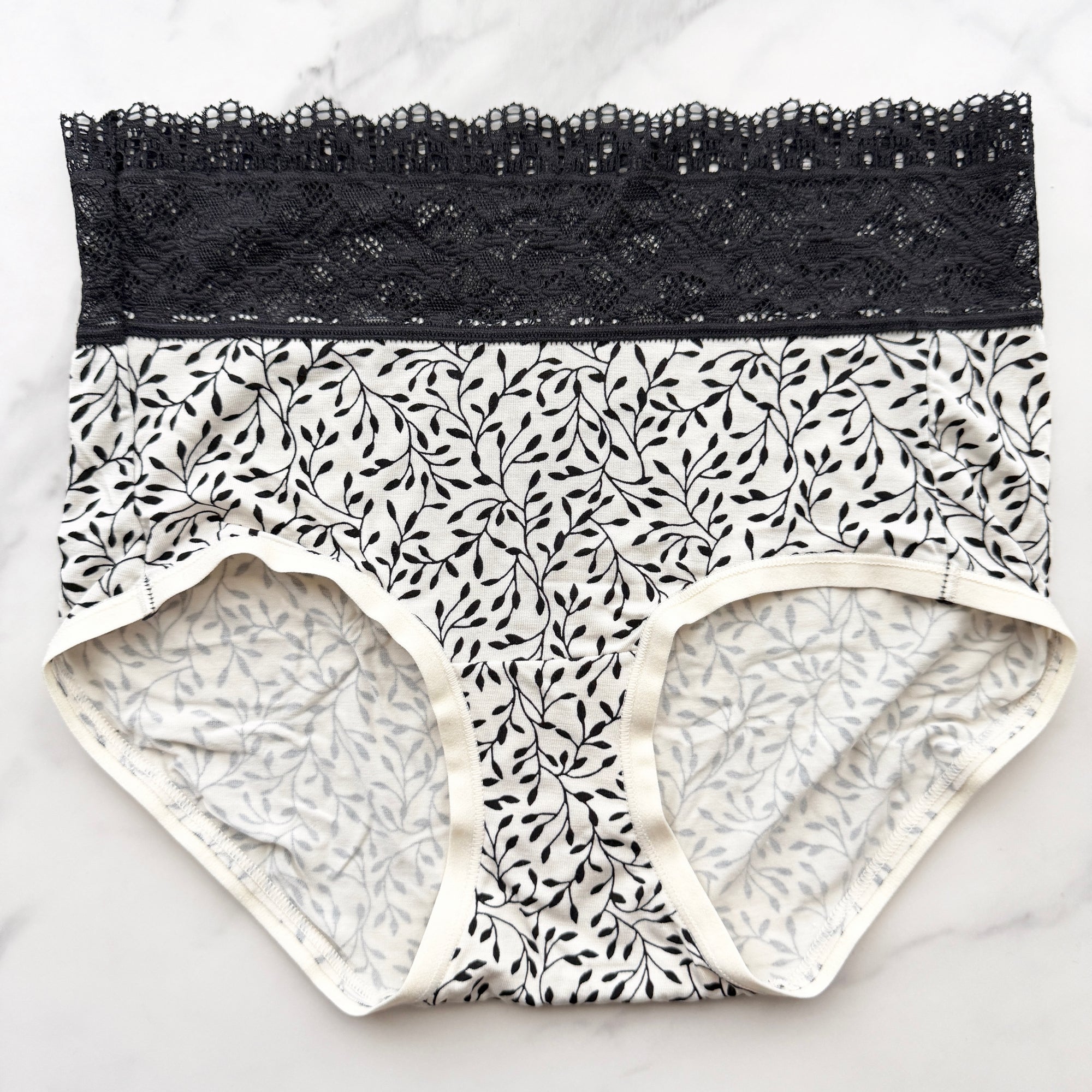 Embraceable Super Soft Enchanting Lace Modern Brief Panty