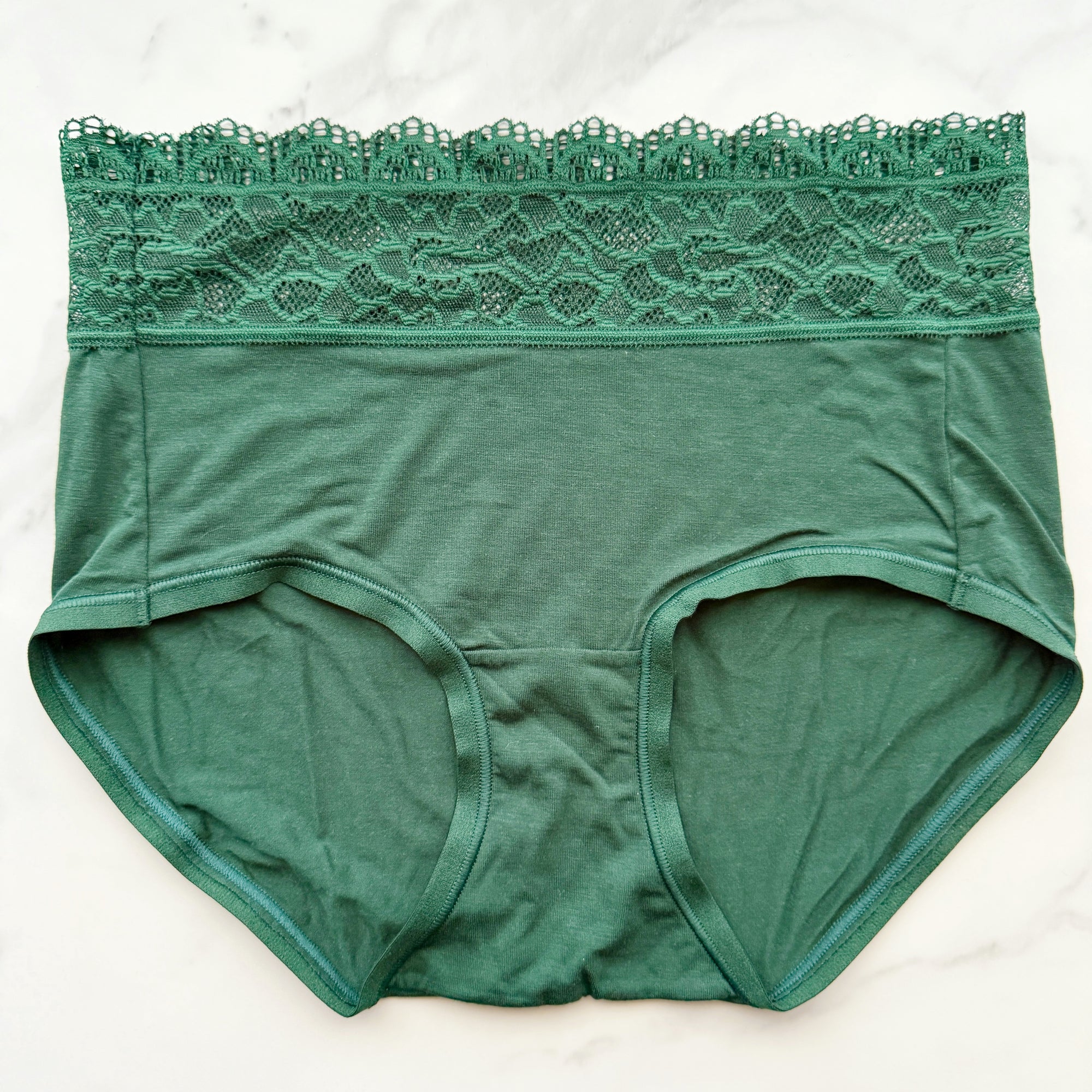 Embraceable Super Soft Enchanting Lace Modern Brief Panty