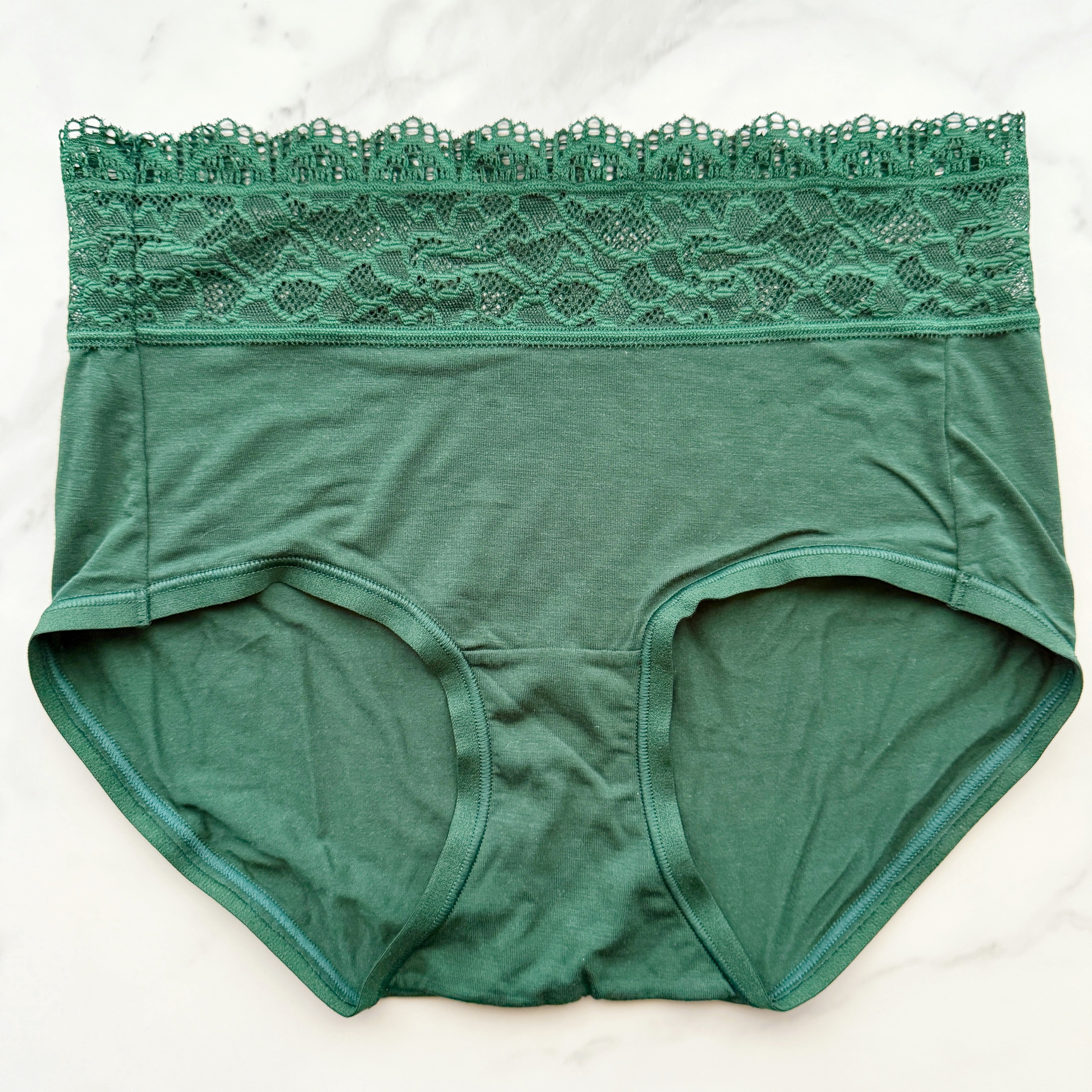 Embraceable Super Soft Enchanting Lace Modern Brief Panty