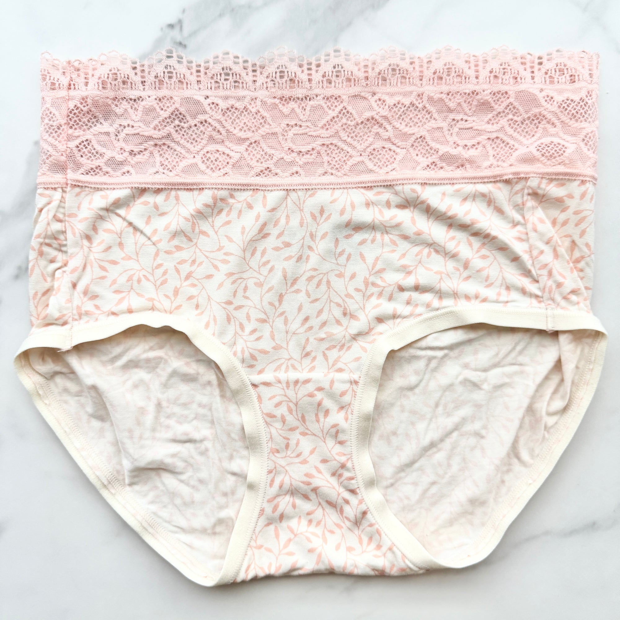 Embraceable Super Soft Enchanting Lace Modern Brief Panty