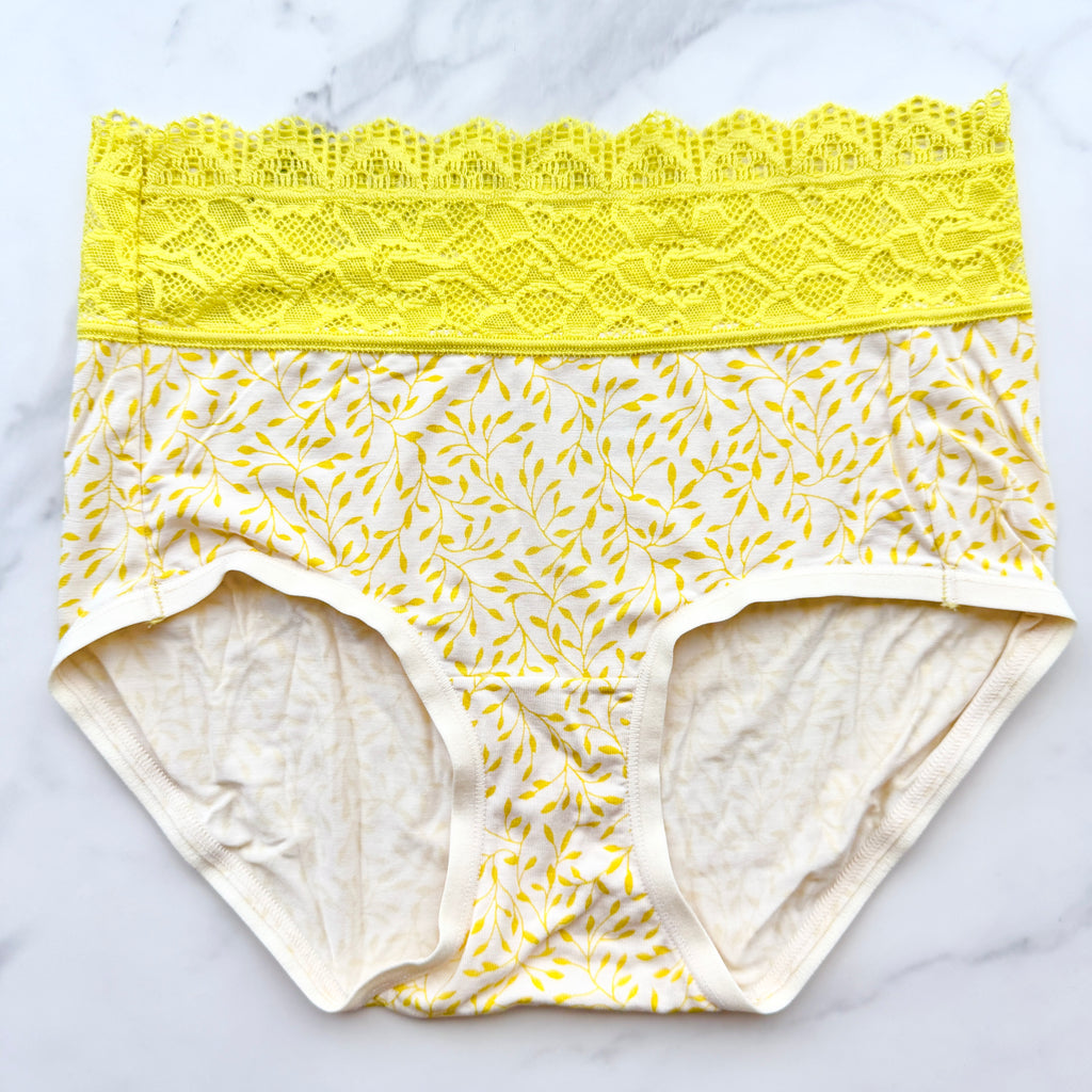 Embraceable Super Soft Enchanting Lace Modern Brief Panty