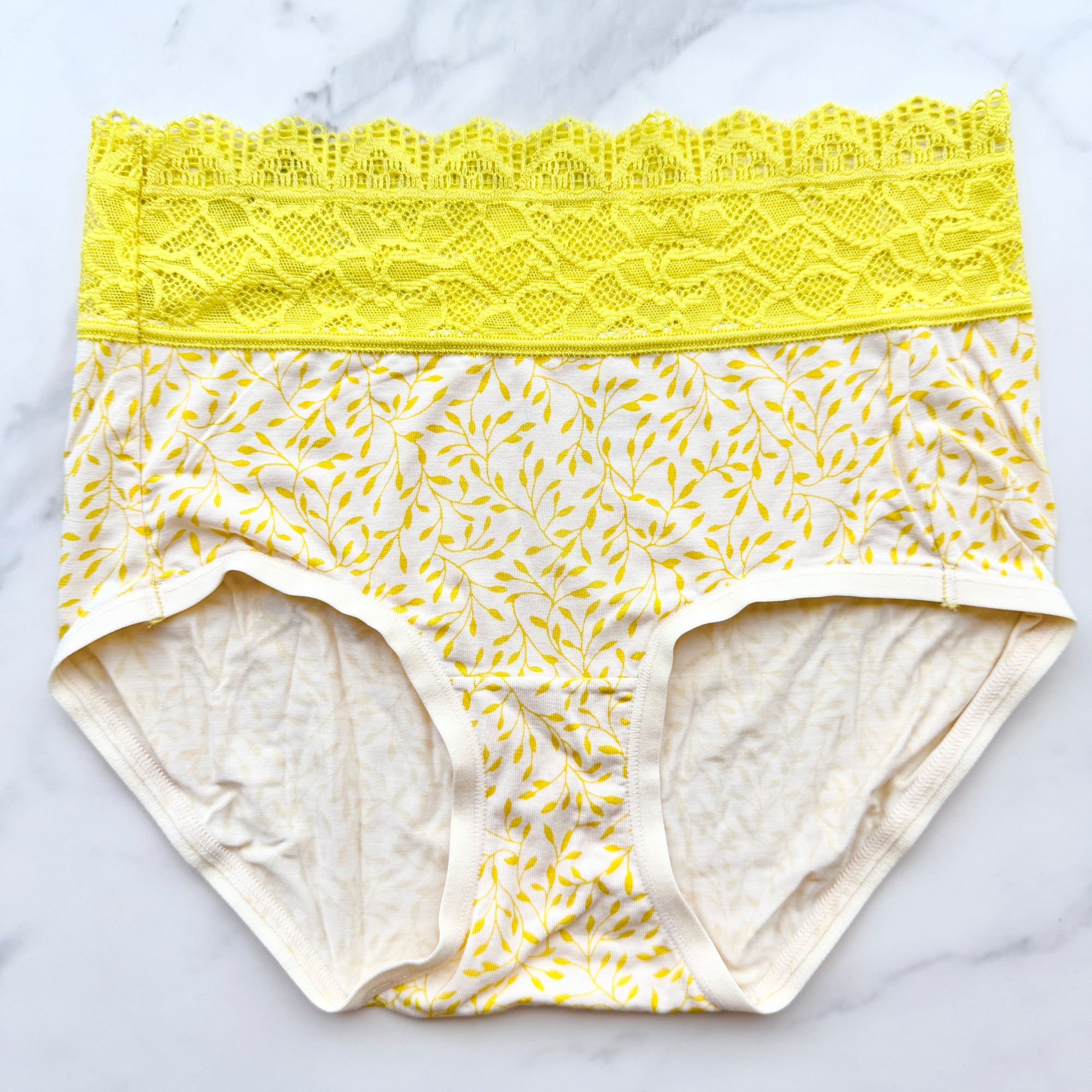 Embraceable Super Soft Enchanting Lace Modern Brief Panty