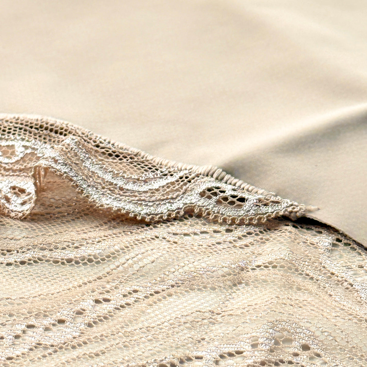 Sensual Stretch Lace Brief Panty