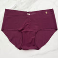 No-Show Classic Hiphugger Panty