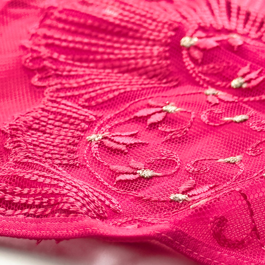 Soma  Soma's Sexiest Architectural Embroidered French Cut Panty 