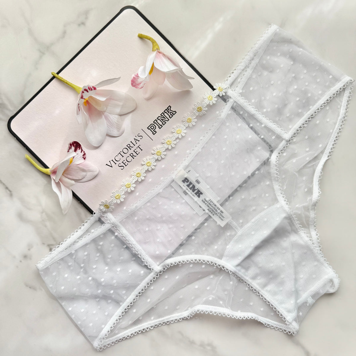 Wink Dot Mesh Cheeky Panty