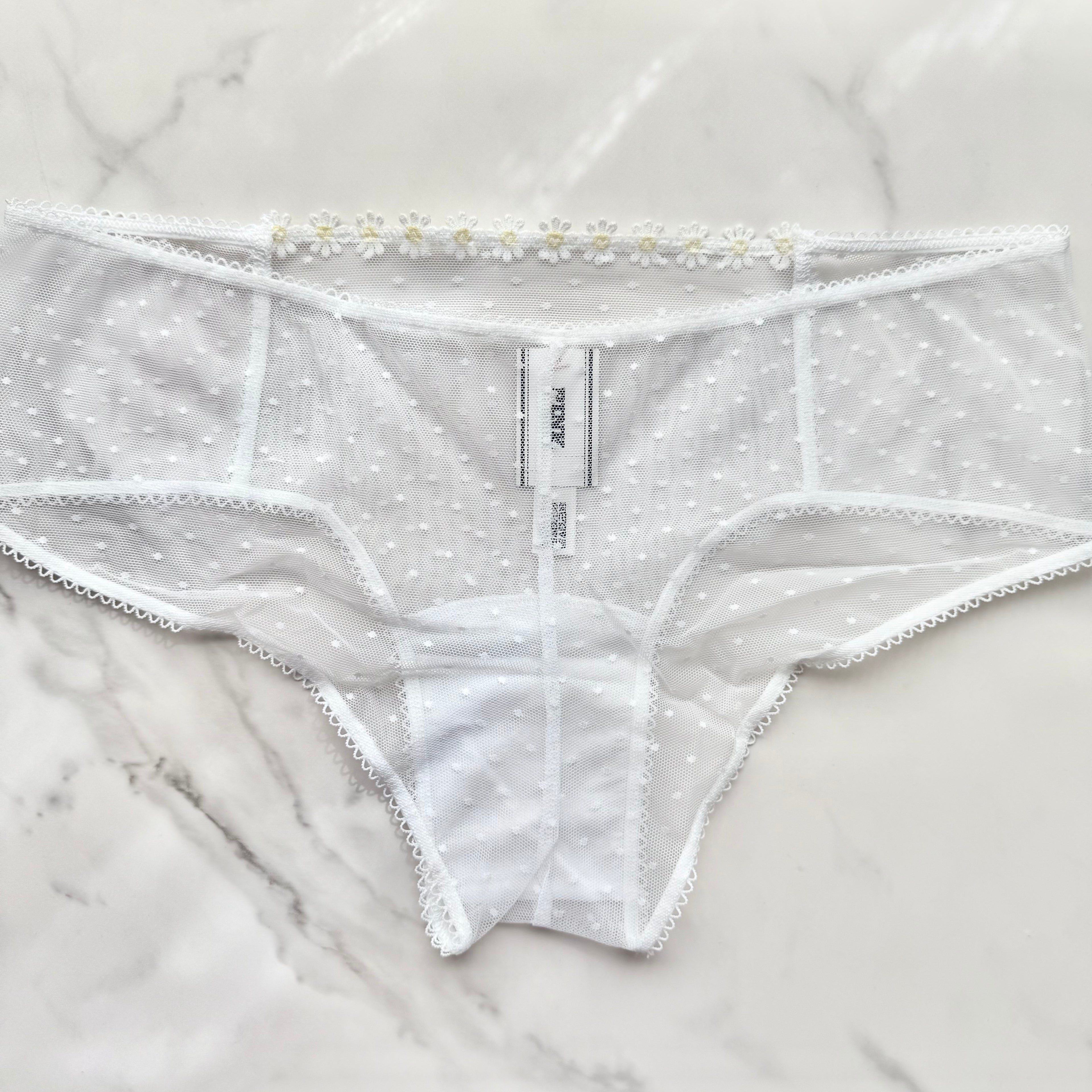 Wink Dot Mesh Cheeky Panty