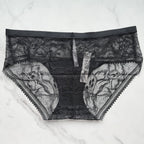 Hipster With Lace Panty