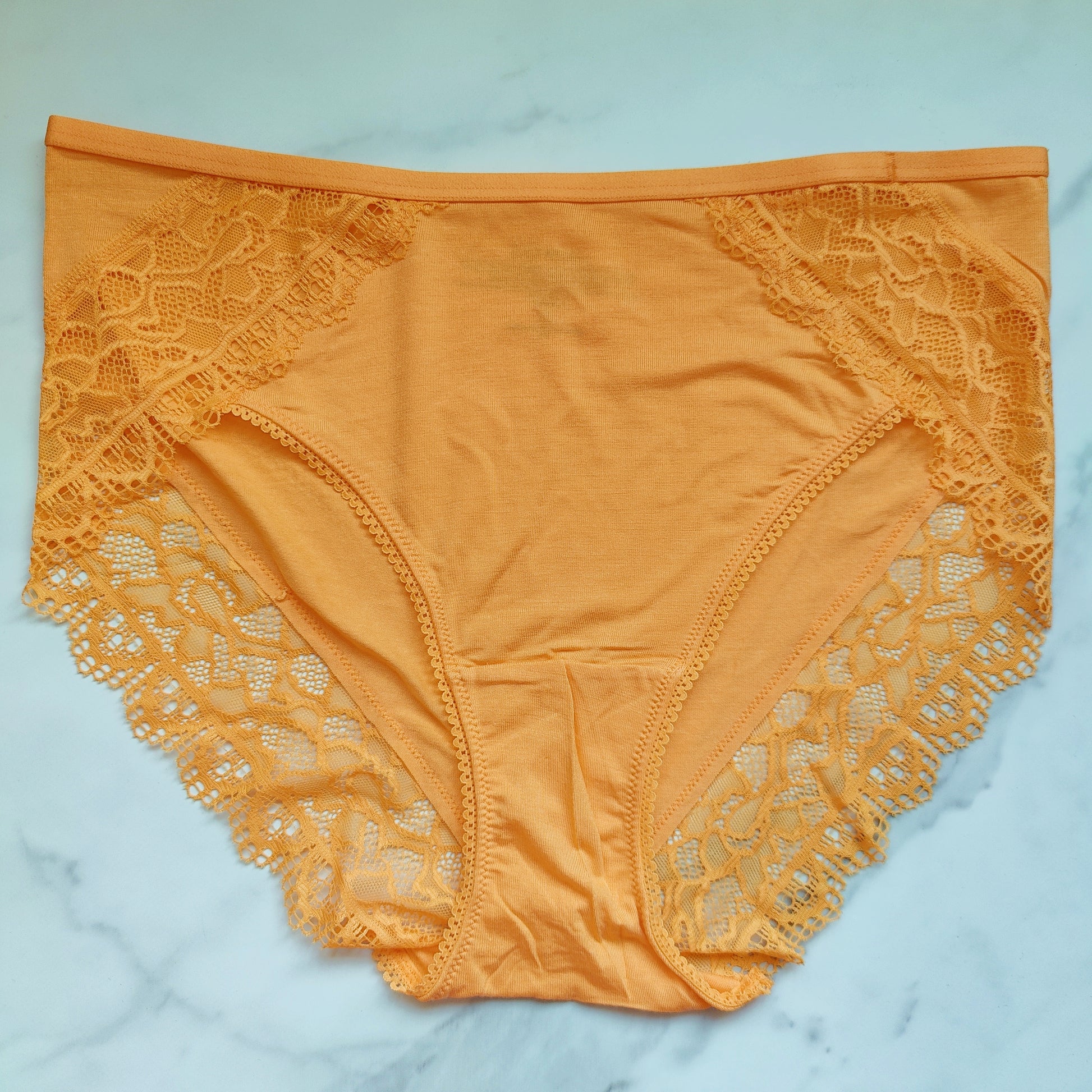 Embraceable Enchanting Lace High-Leg Brief Panty – Goob's Closet & Boutique
