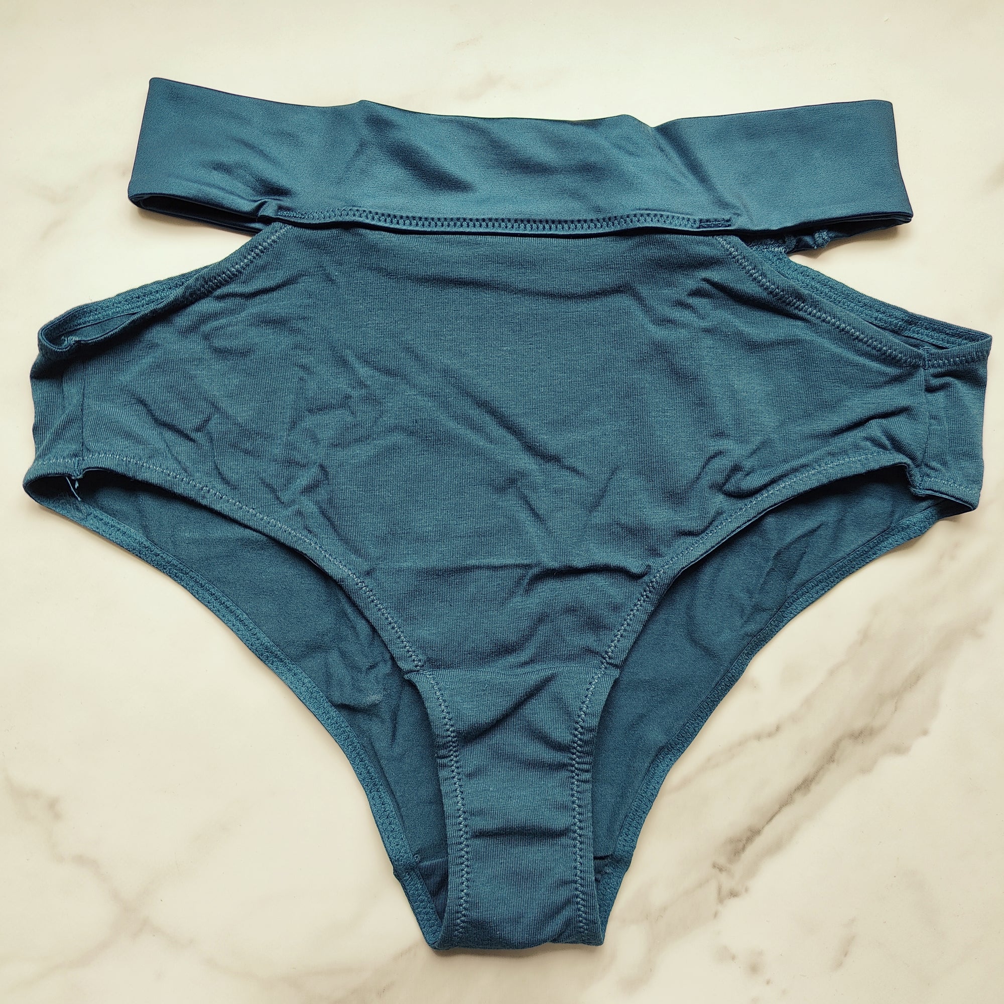 TellTale The Dreamer Retro Brief Panty