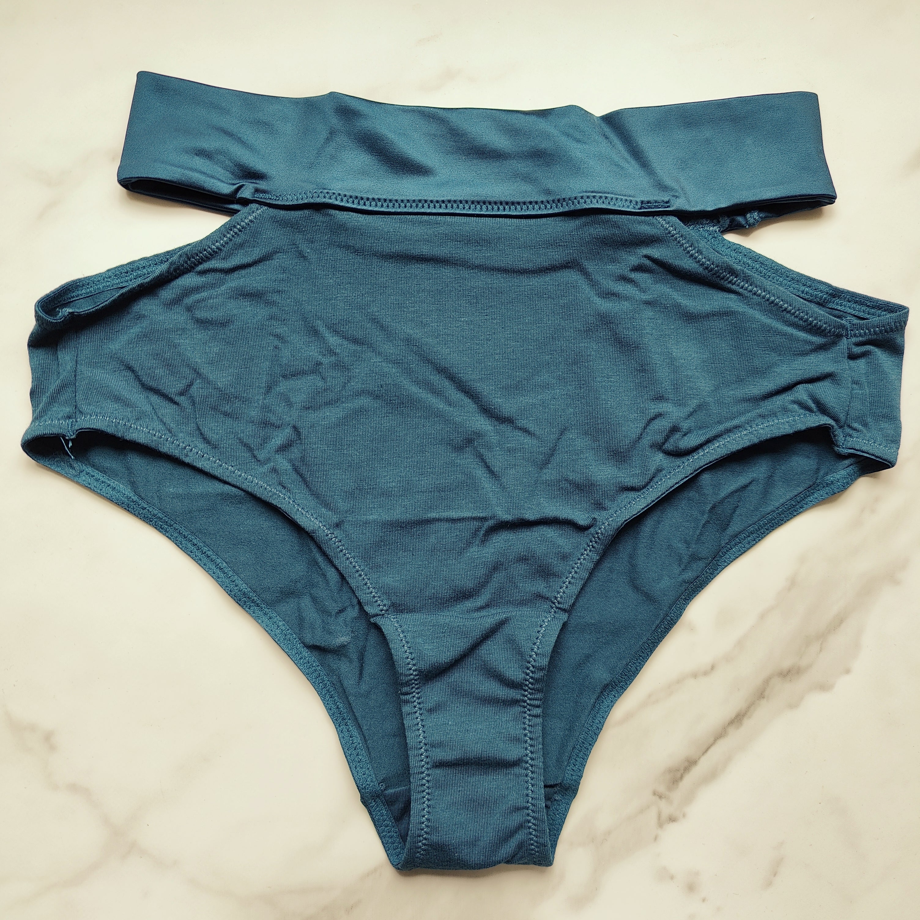 TellTale The Dreamer Retro Brief Panty