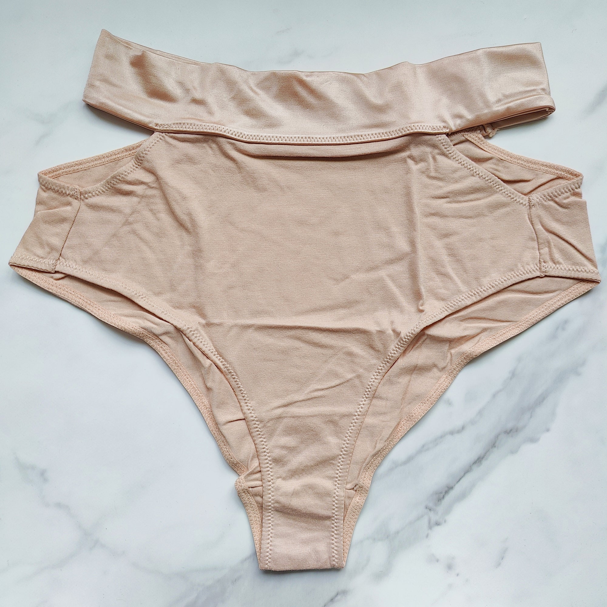 TellTale The Dreamer Retro Brief Panty