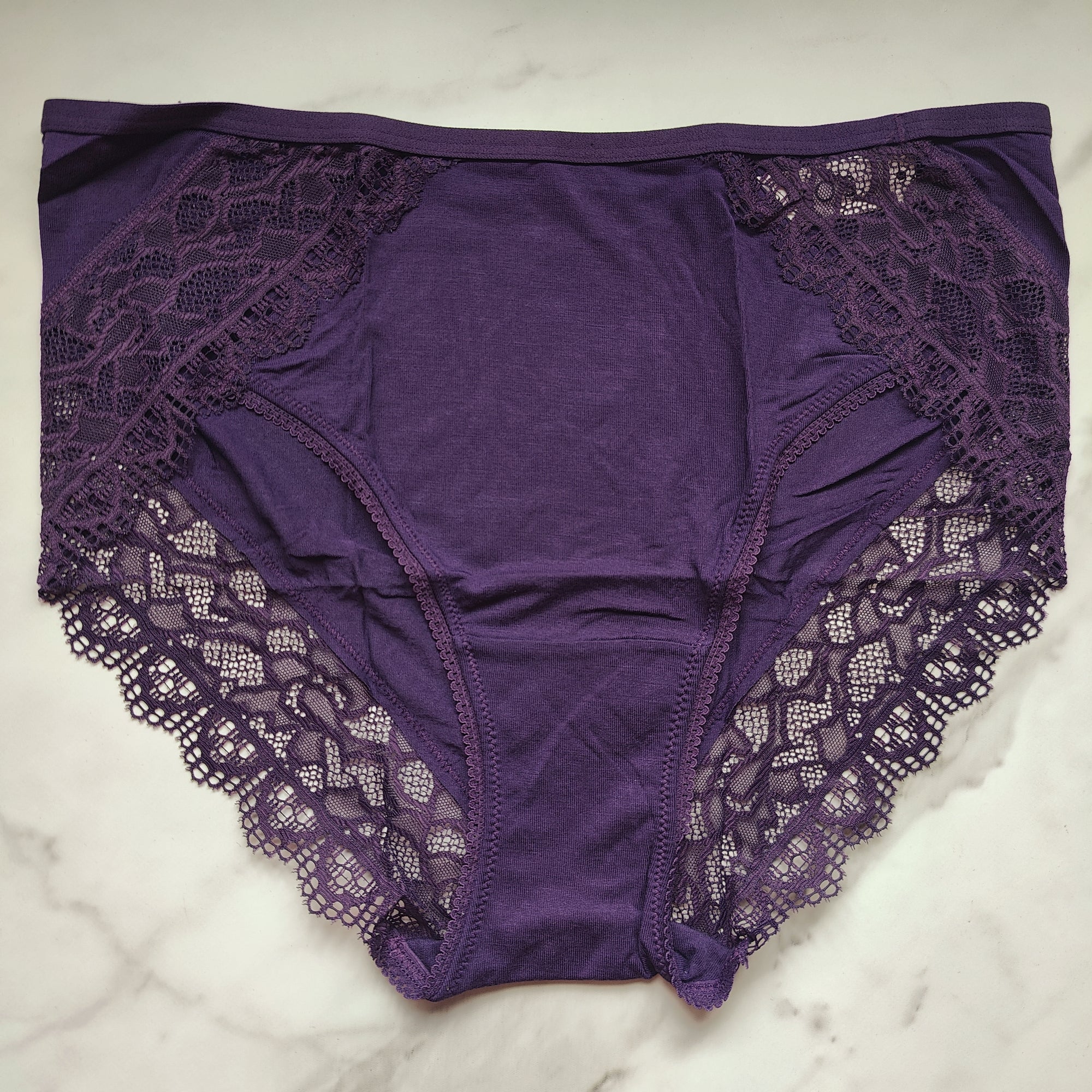 Embraceable Enchanting Lace High-Leg Brief Panty