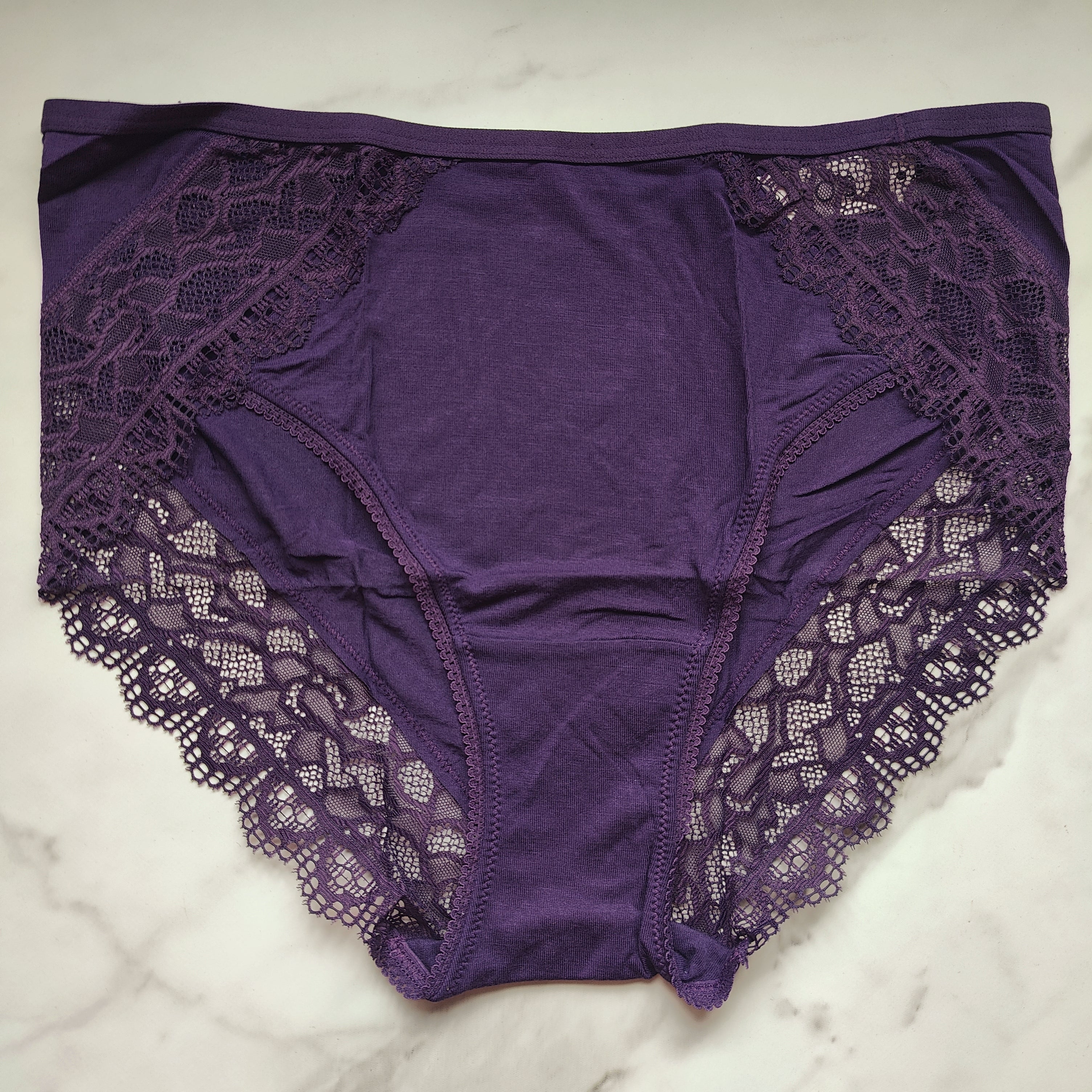 Embraceable Enchanting Lace High-Leg Brief Panty