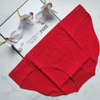Smooth Seamless Bikini Panty