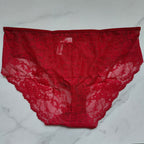 Vanishing Edge All-Over Lace Hipster Panty
