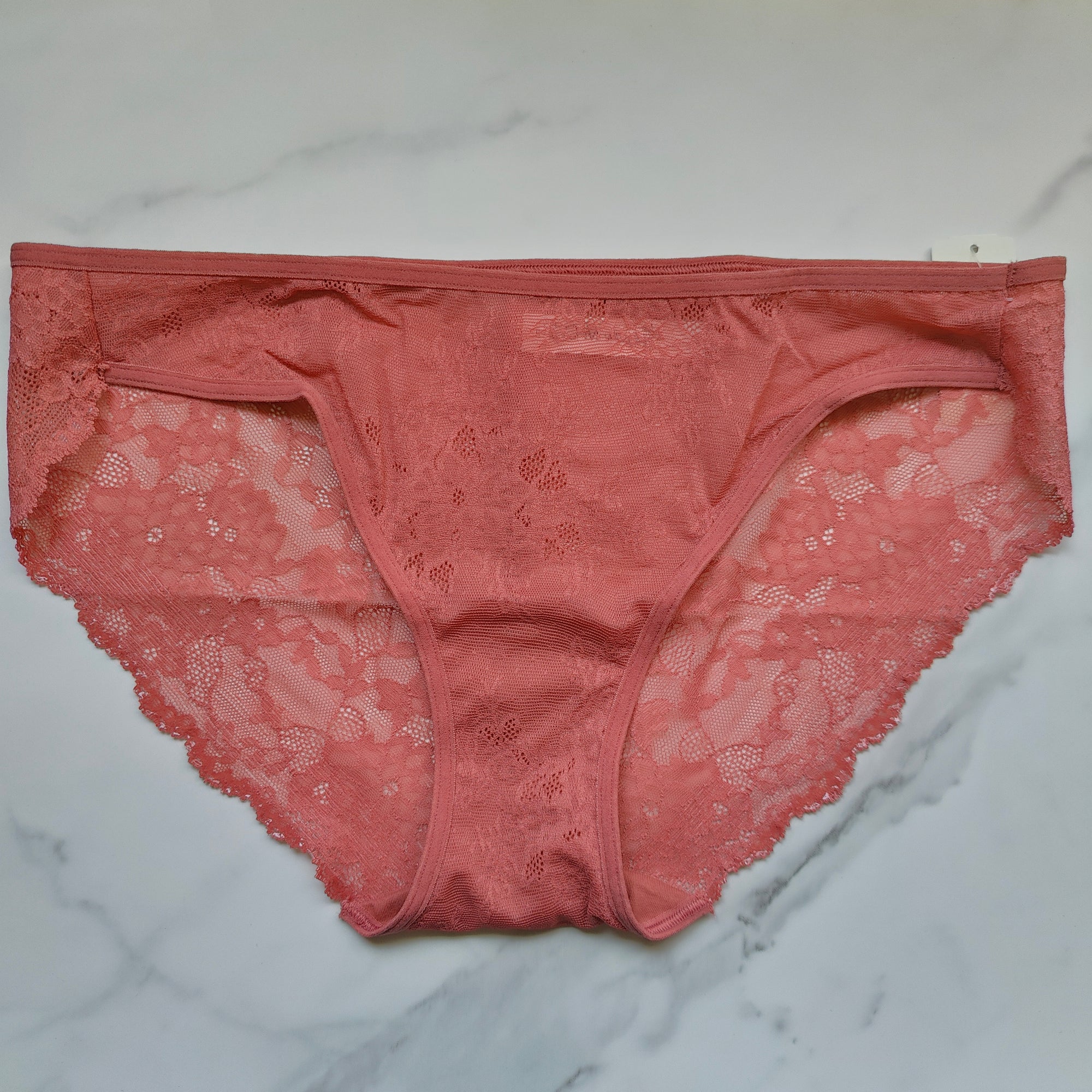 Vanishing Edge All-Over Lace Bikini Panty