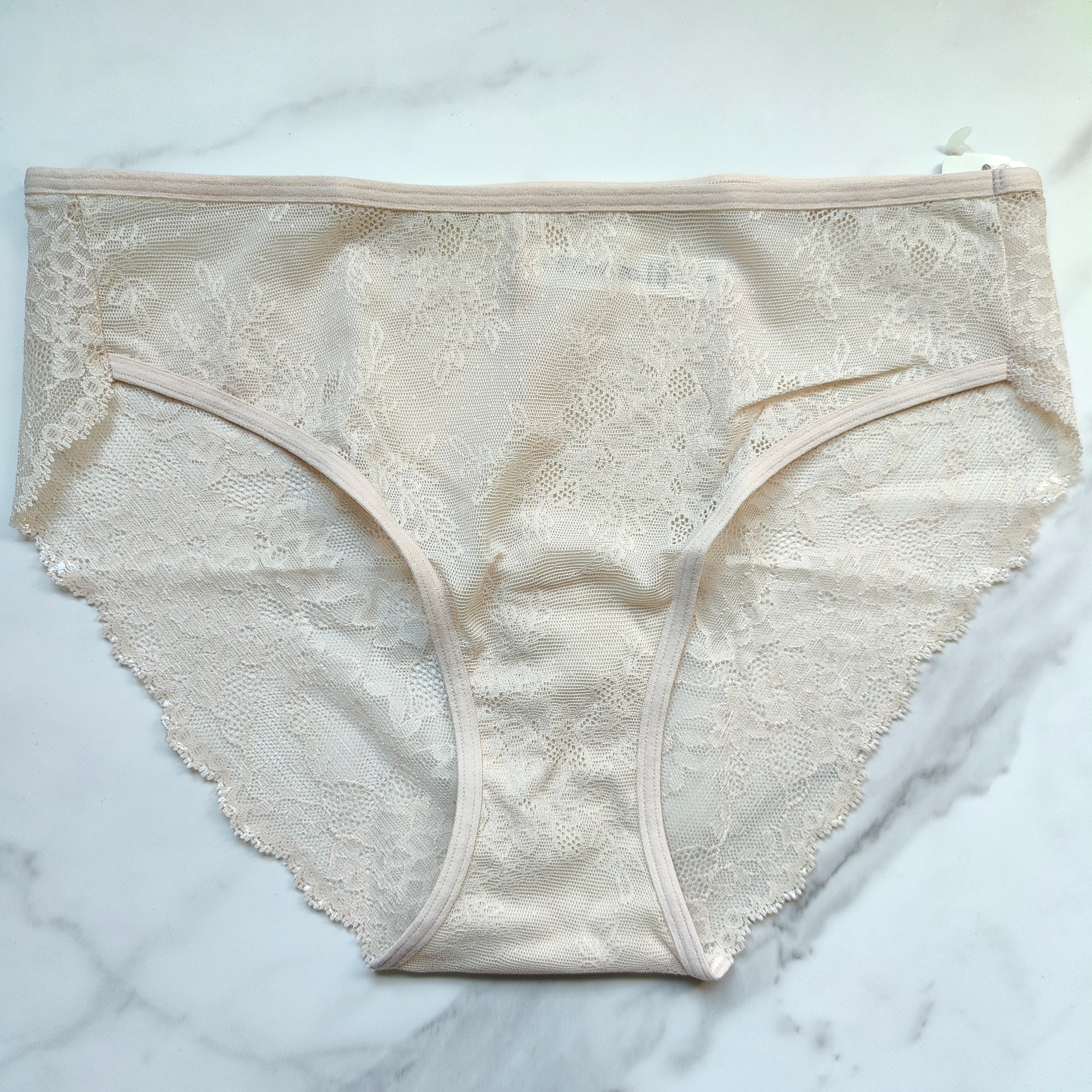 Vanishing Edge All-Over Lace Hipster Panty