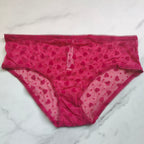 The Lacie Mesh Hiphugger Panty