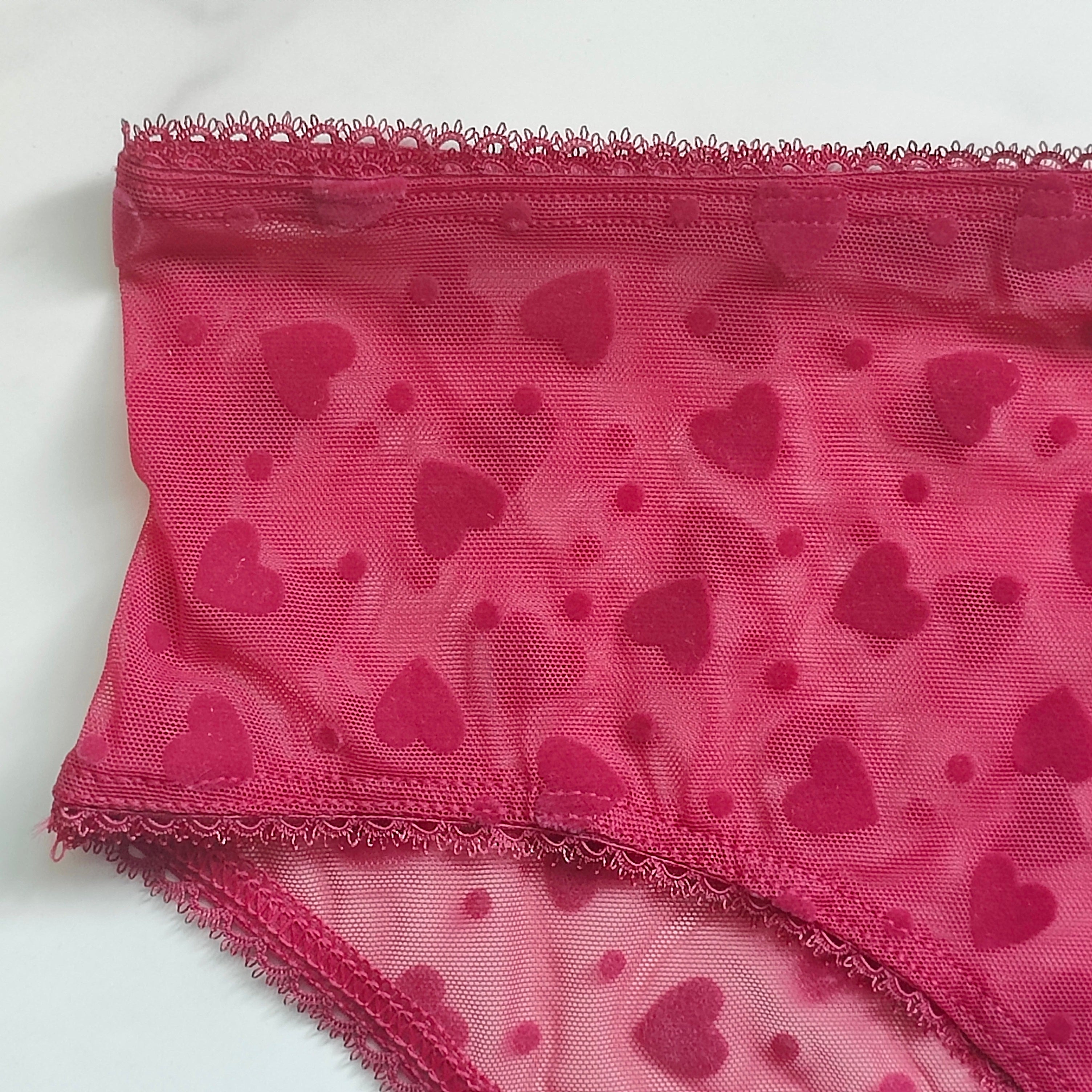 The Lacie Mesh Hiphugger Panty