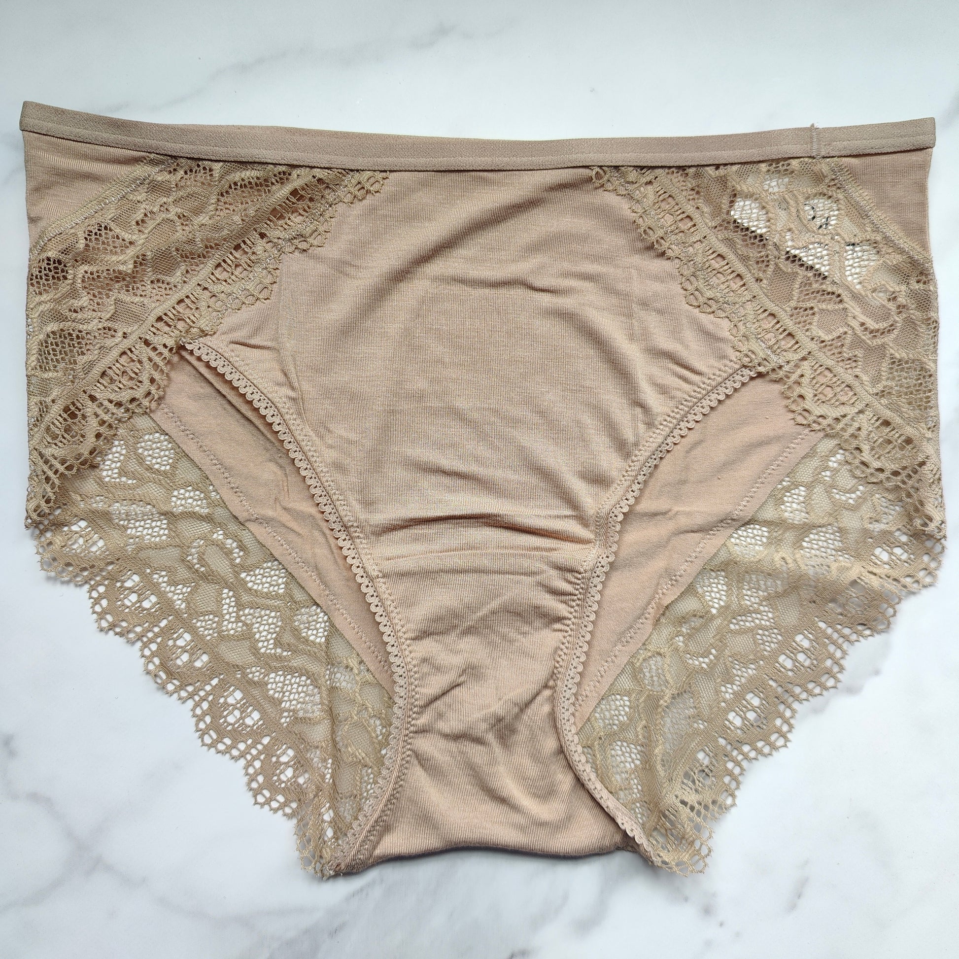 Embraceable Enchanting Lace High-Leg Brief Panty – Goob's Closet