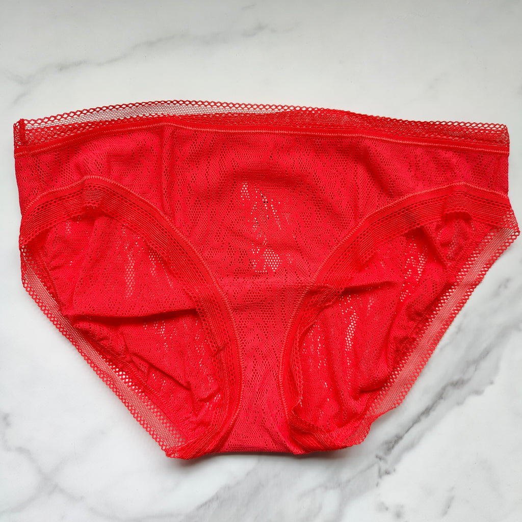 Stretch Lace Hipster Panty