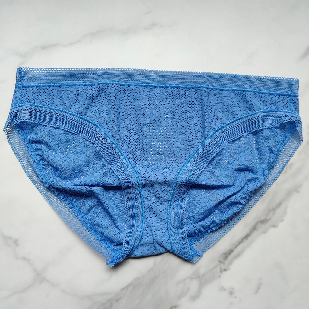 Stretch Lace Hipster Panty
