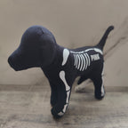 Mini Dog