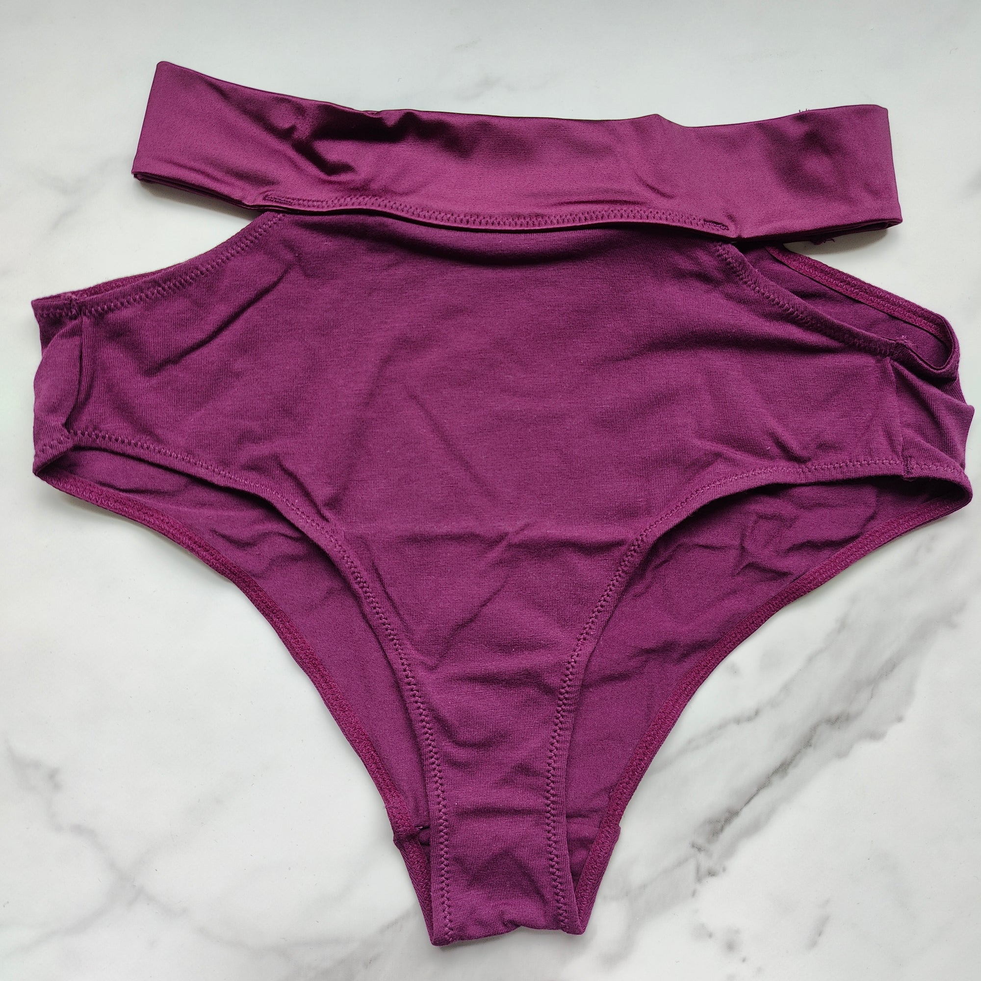 TellTale The Dreamer Retro Brief Panty