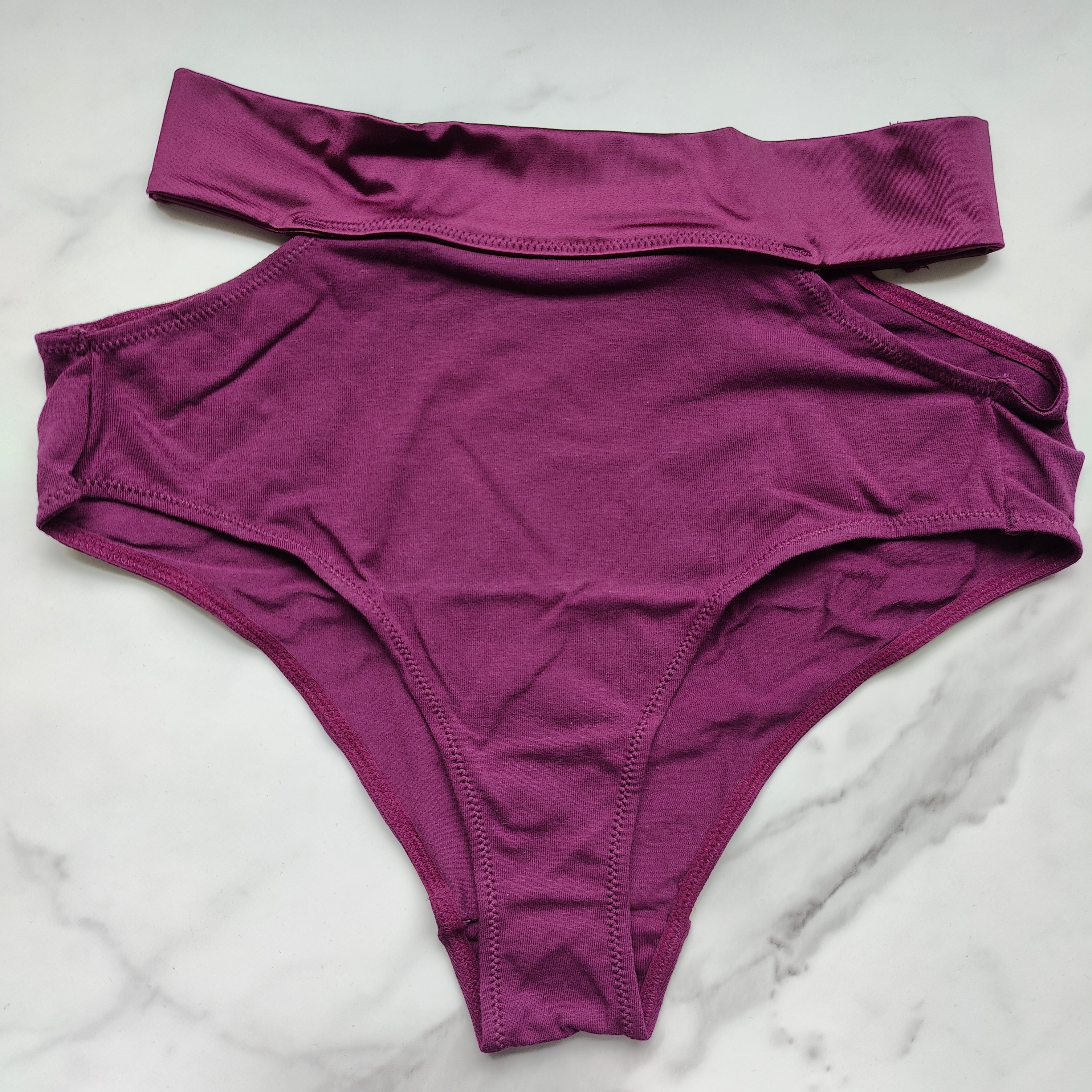 TellTale The Dreamer Retro Brief Panty