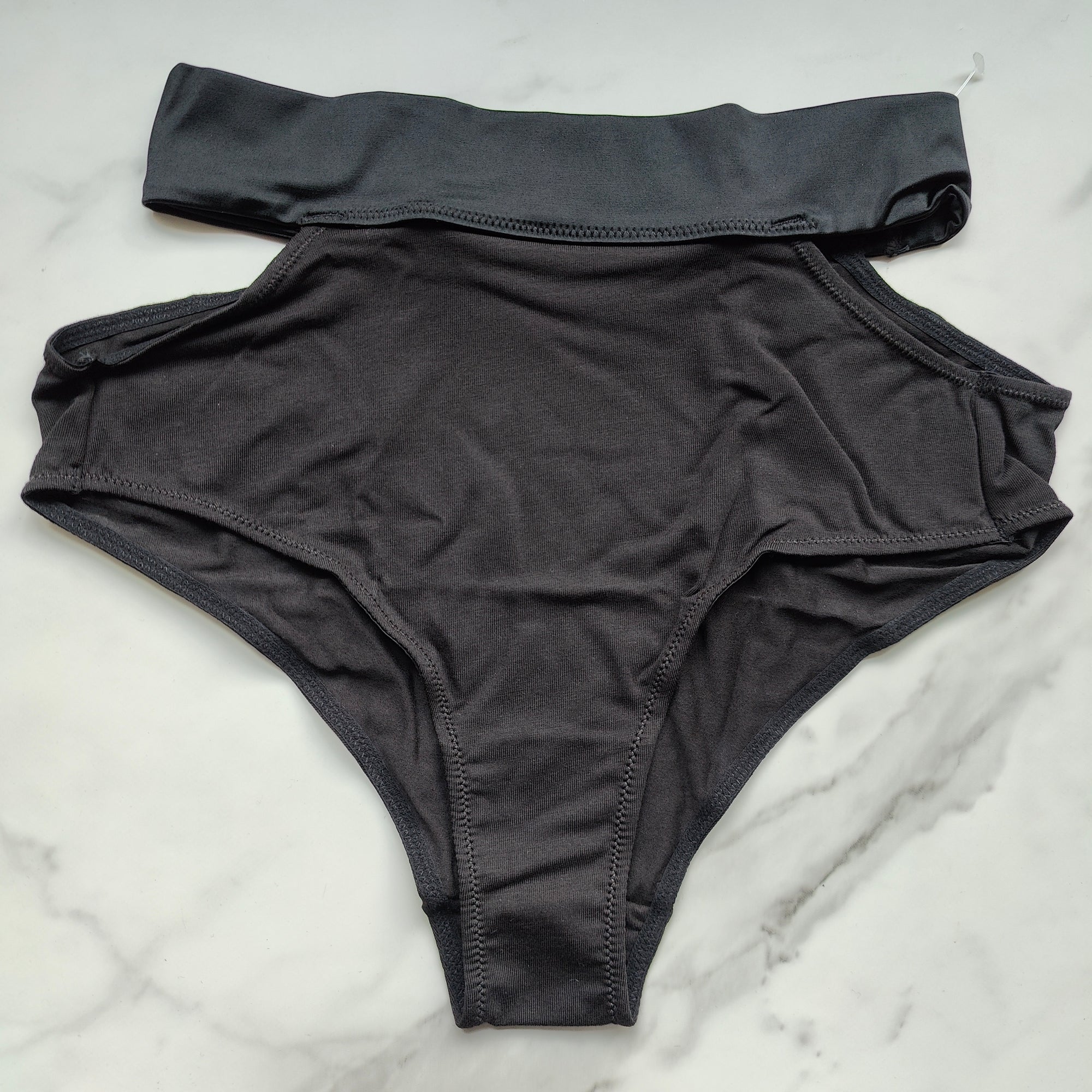TellTale The Dreamer Retro Brief Panty