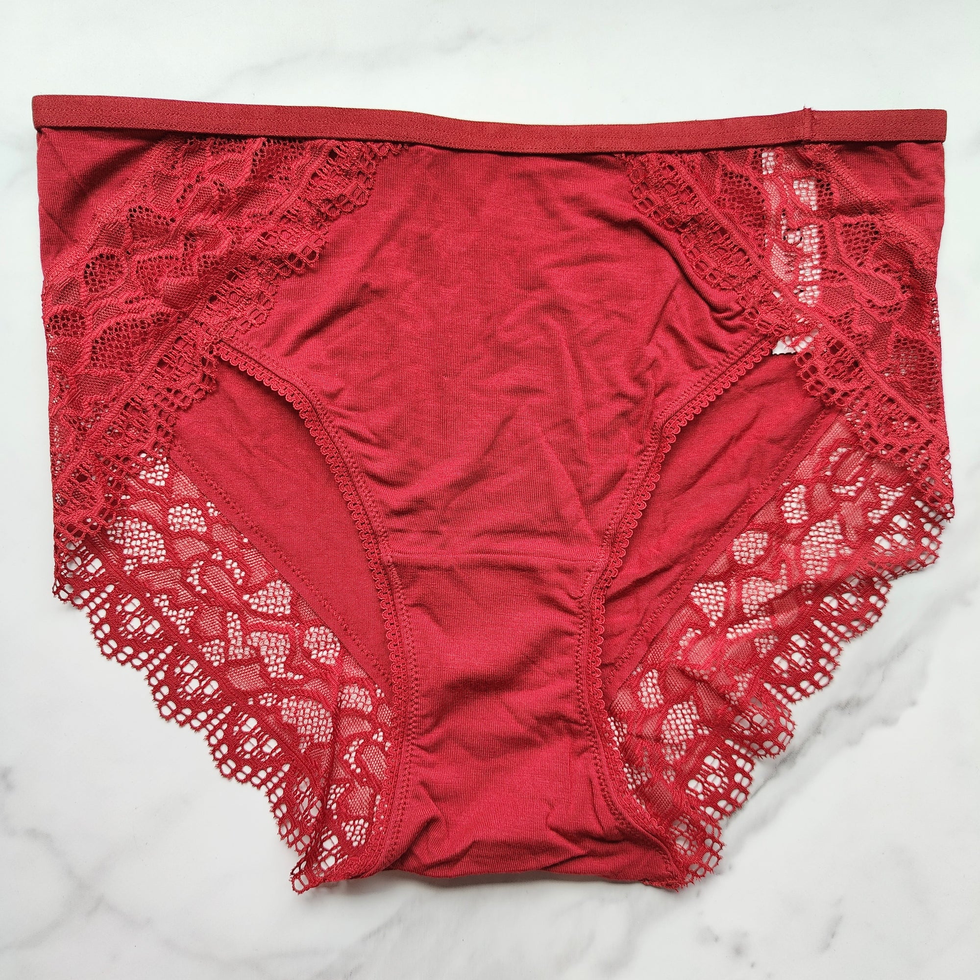 Embraceable Enchanting Lace High-Leg Brief Panty