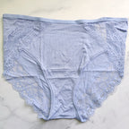 Embraceable Enchanting Lace High-Leg Brief Panty