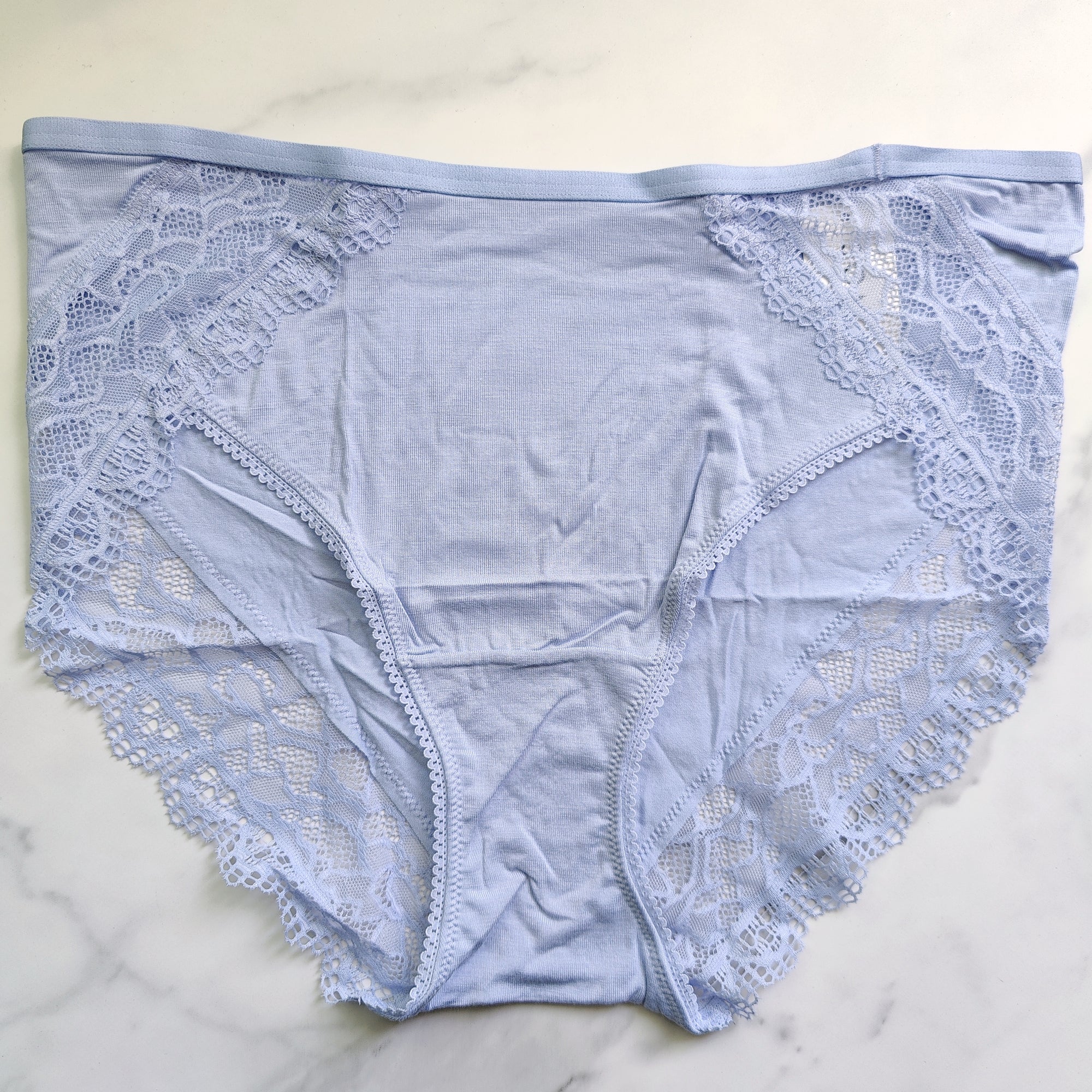 Embraceable Enchanting Lace High-Leg Brief Panty