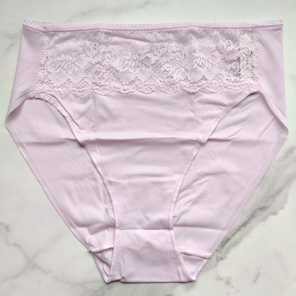 Vanishing Edge Microfiber With Lace High-Leg Brief Panty