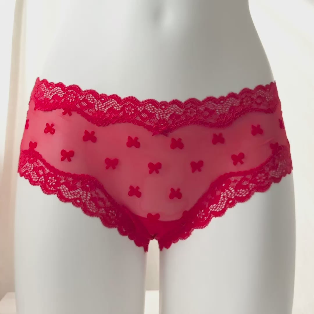 Tease Mesh Lace-Trim Cheeky Panty