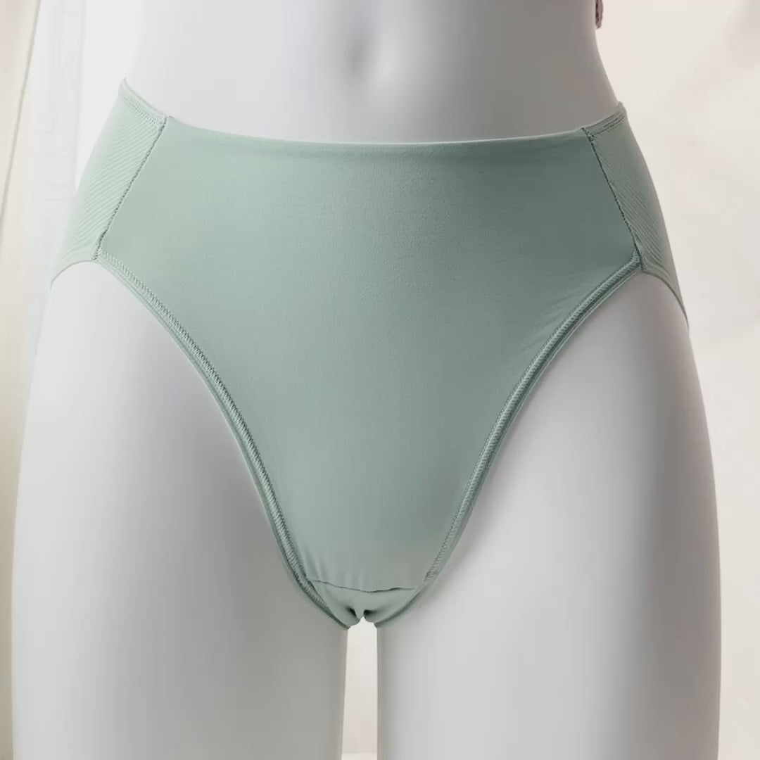 Vanishing Tummy High-Leg Brief Panty